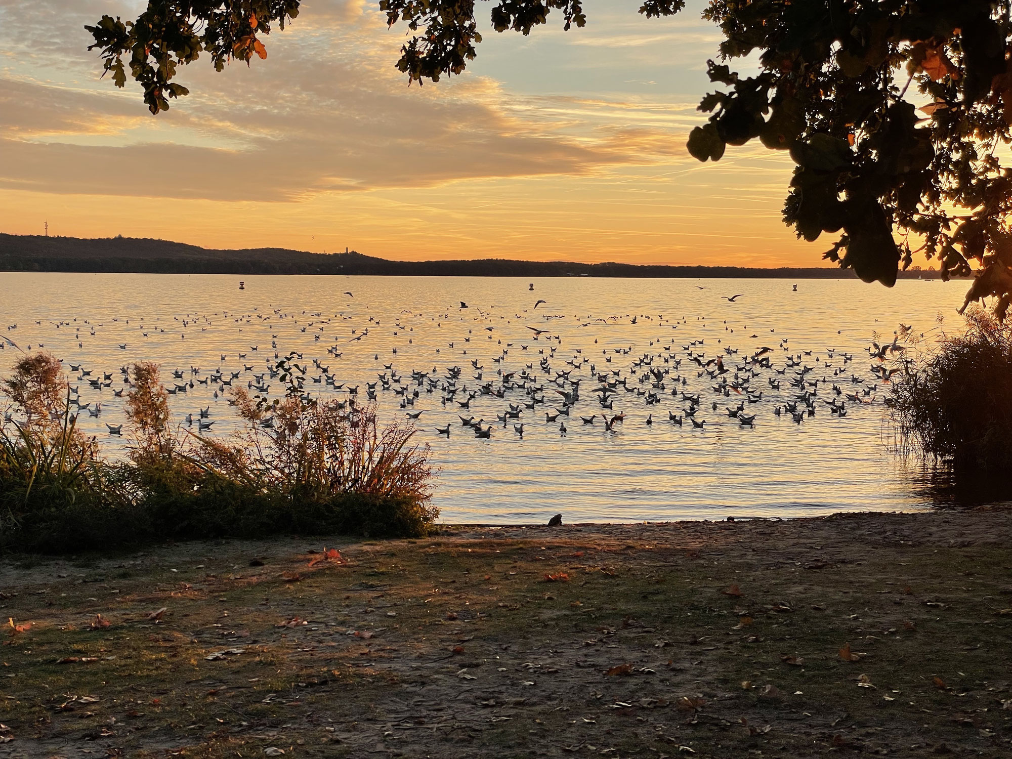 Vata-Jahreszeit: Herbst und Winter ausgleichend begegnen