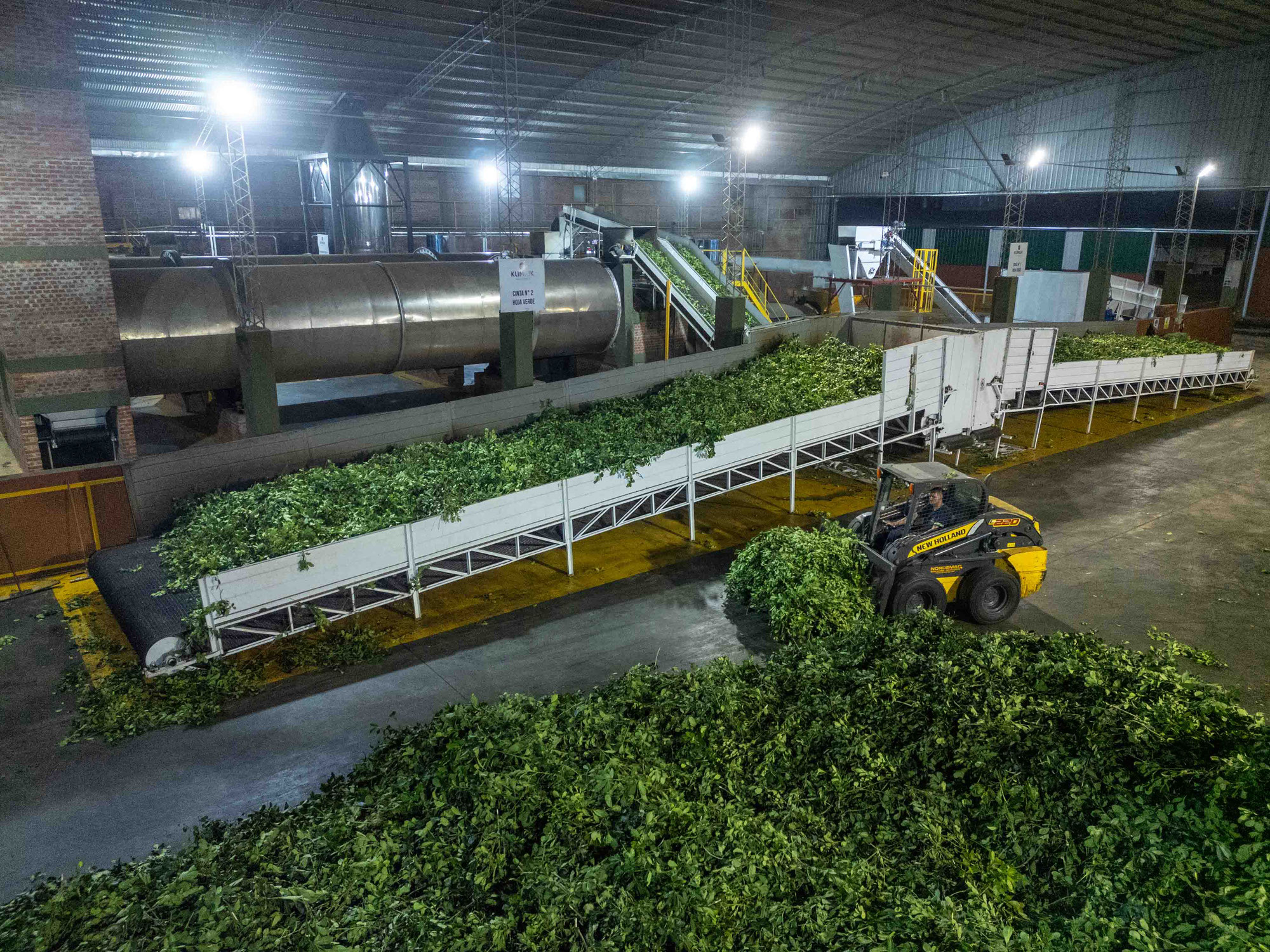 Klimiuk Infusiones revoluciona el secado de yerba mate con tecnología local para adaptarse mercado internacional