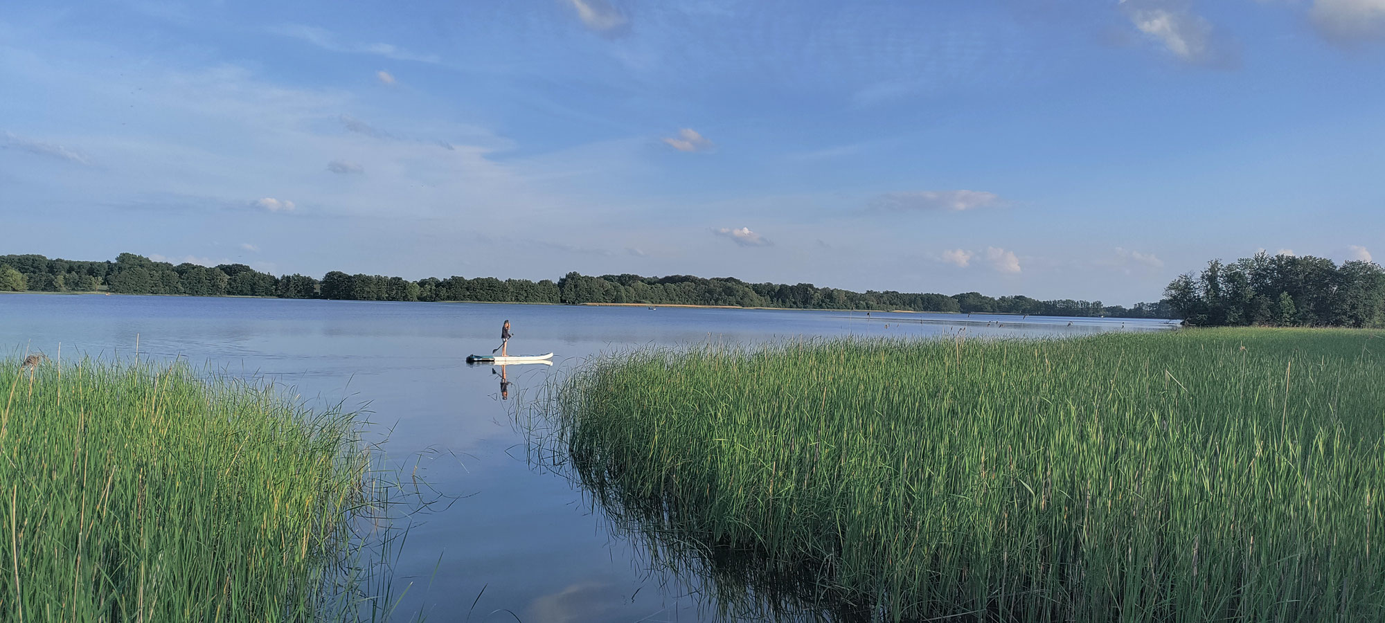 SUP fahren auf dem Krakower See – Sportlich unterwegs und der Natur ganz nah