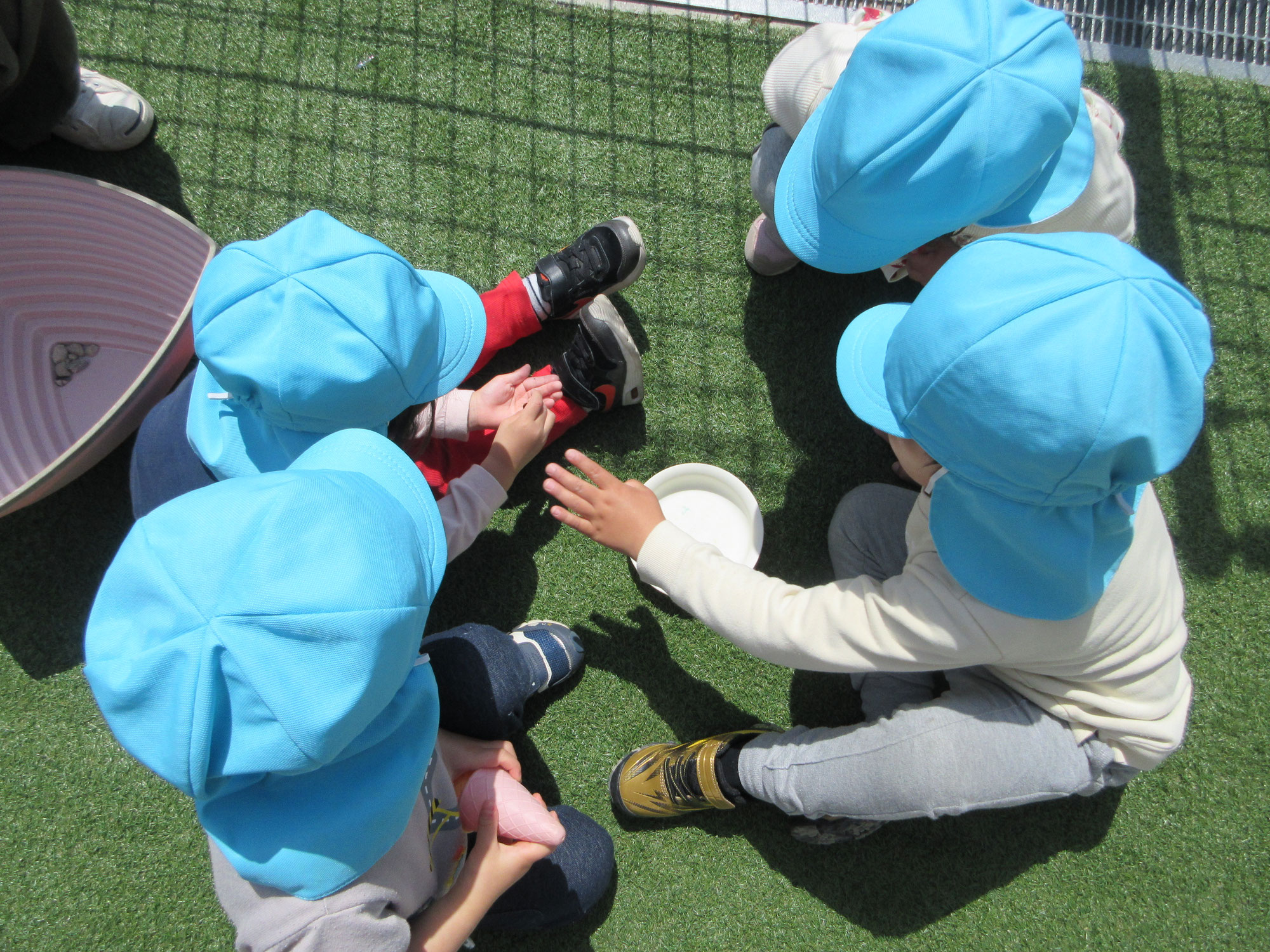 4月　てんとう虫