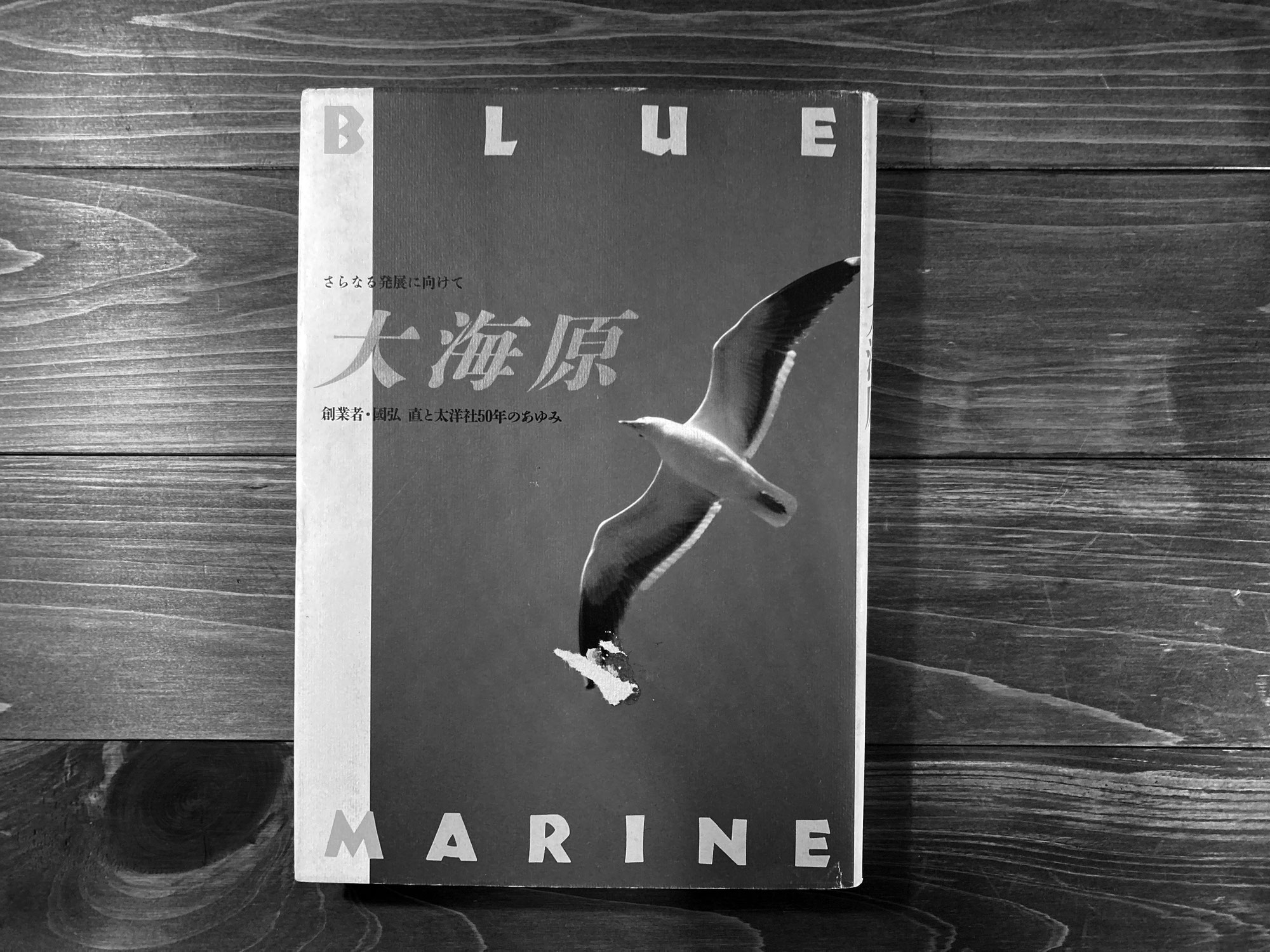 【限定公開】『あの本屋のこんな本 本屋本書評集』（『大海原ーさらなる発展に向けて』）