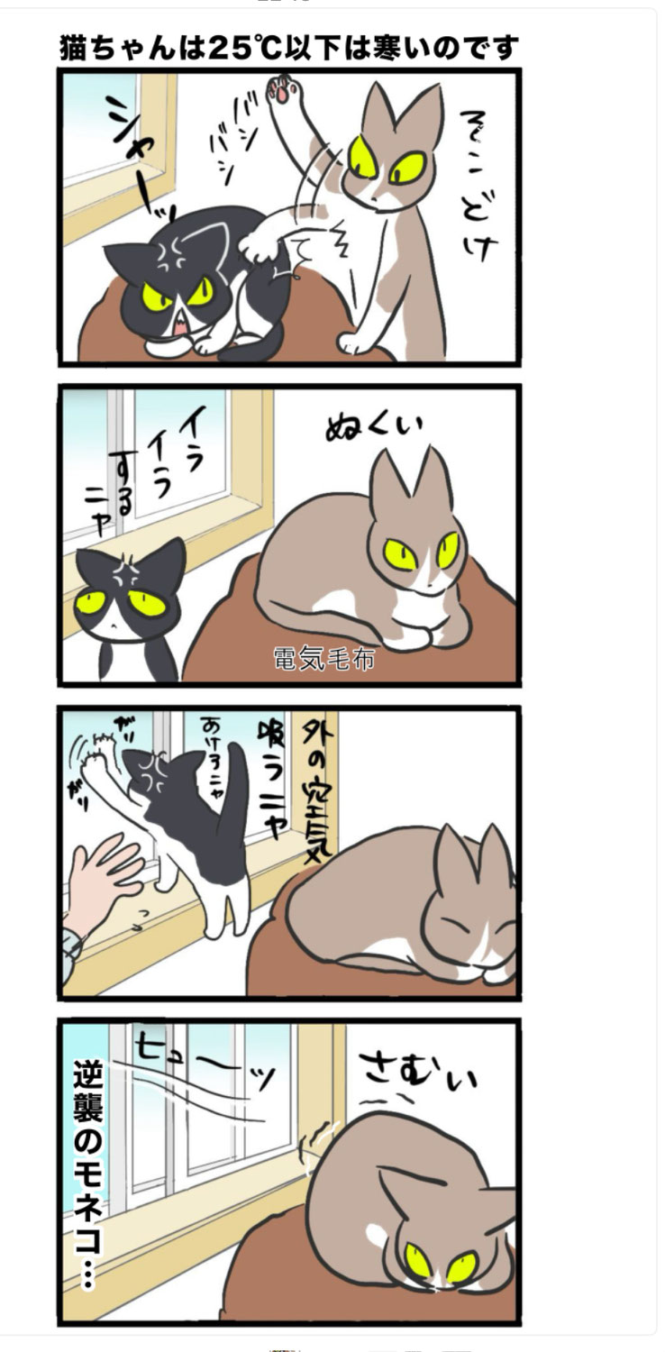 7月のお便り / 受験分析 / 災害対応