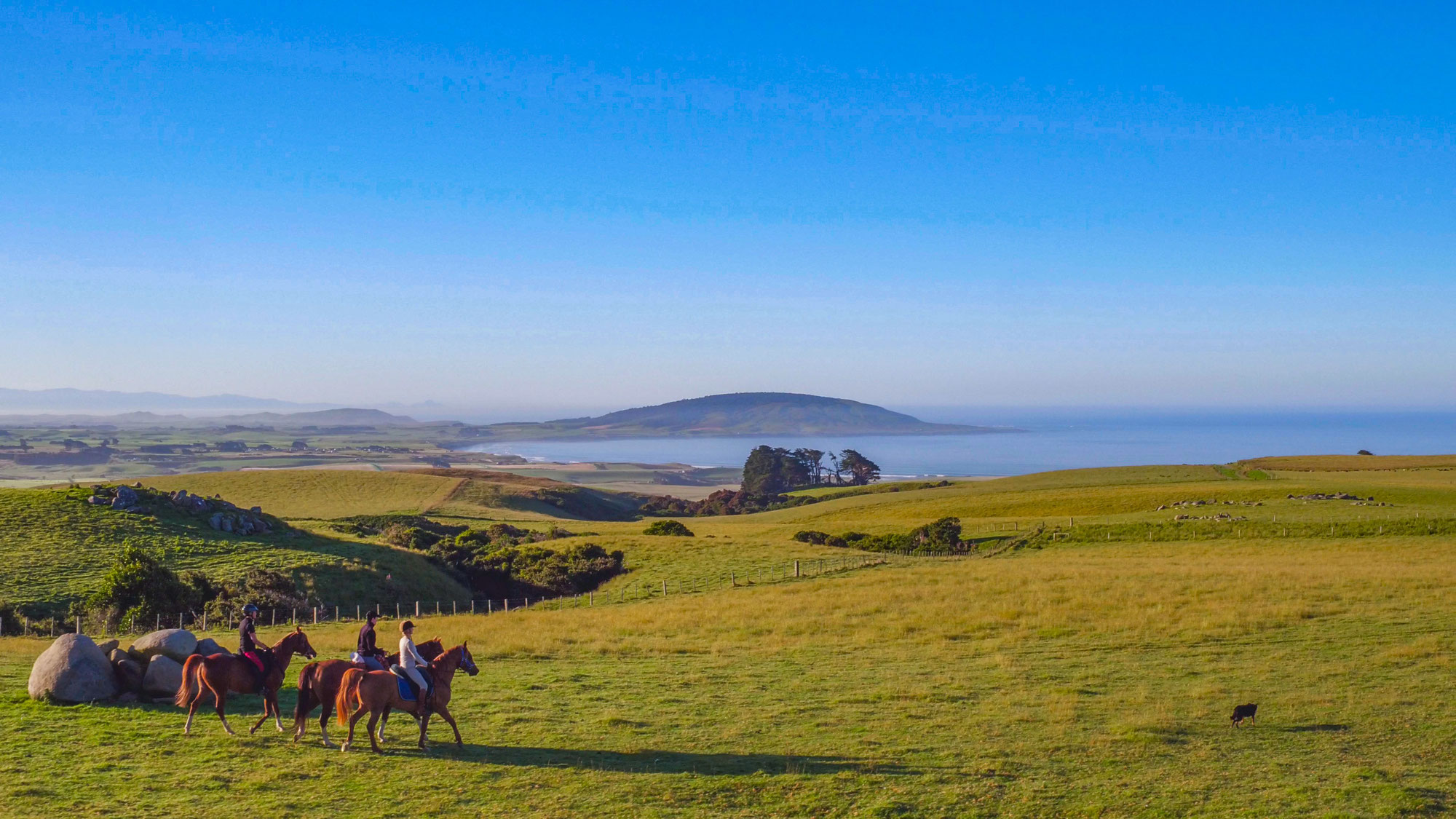 Top 10 Things to Do Around Orepuki, Riverton and Tuatapere