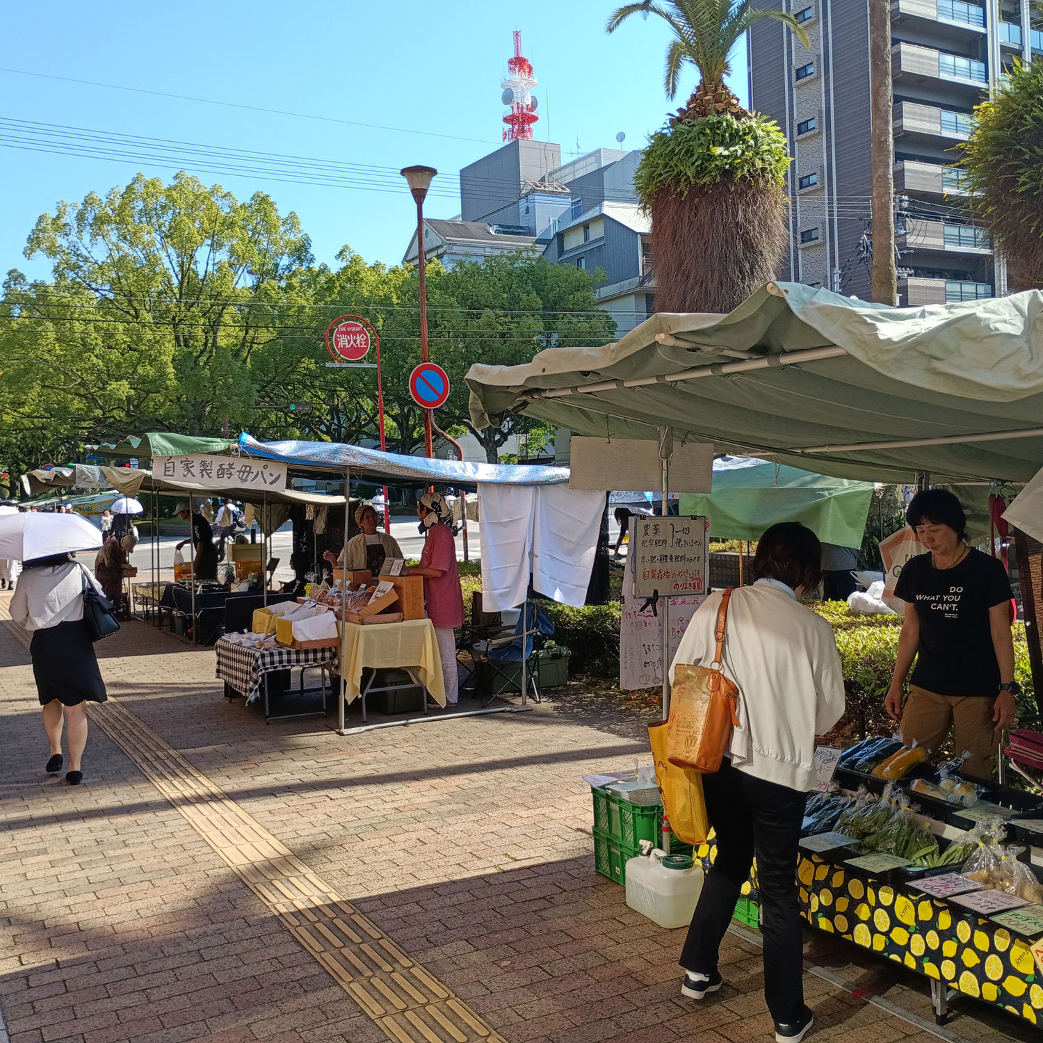 高知の木曜市～