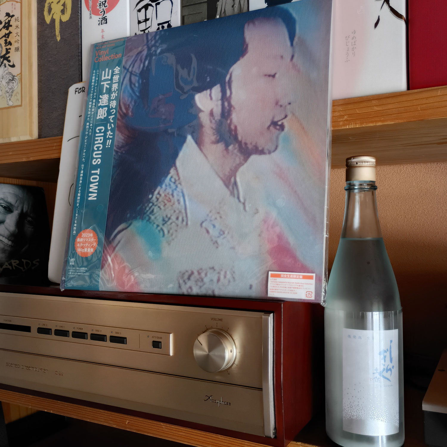 久しぶりにレコードを買いました～