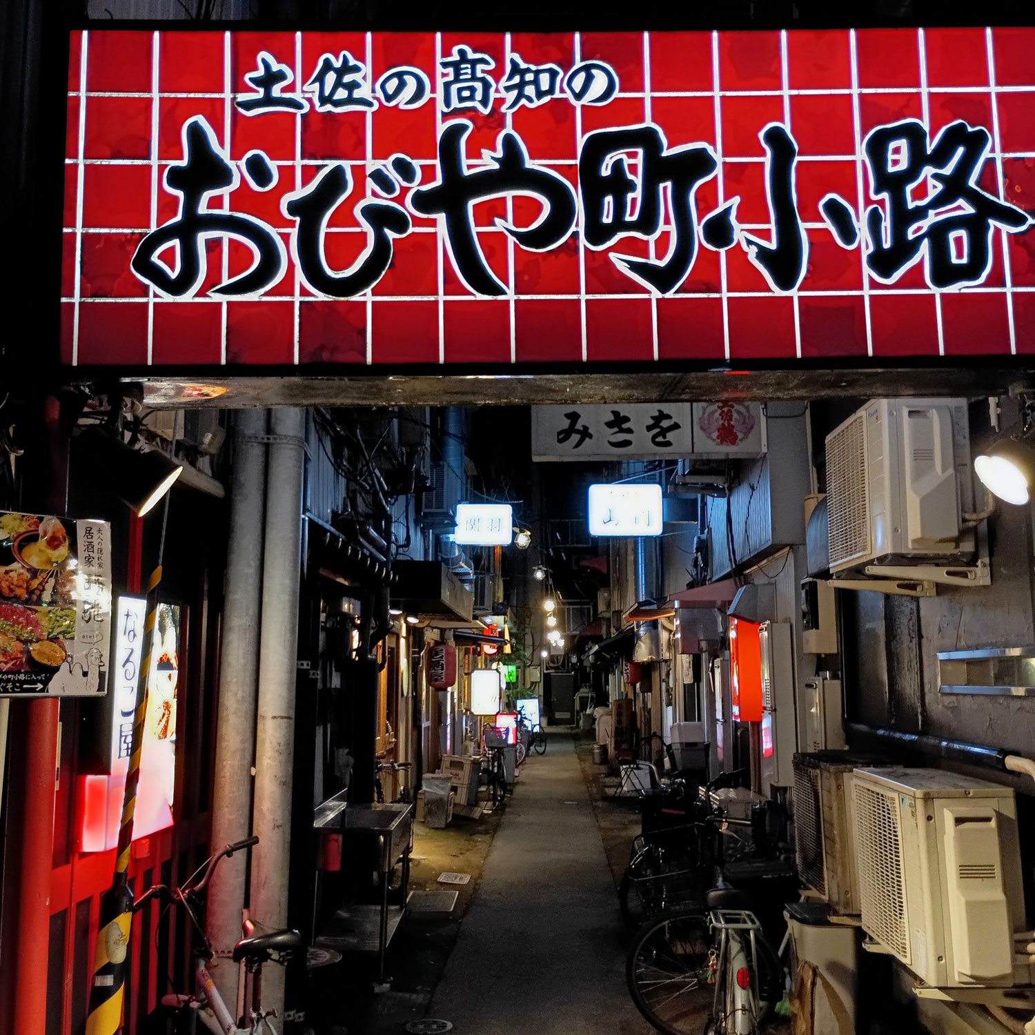 そして、久し振りの夜の高知の飲み屋街～