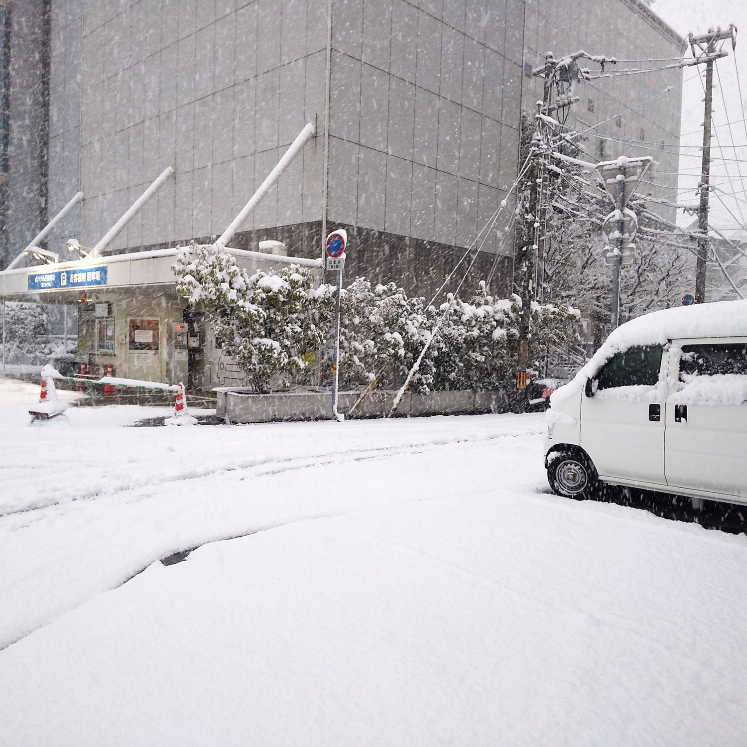 高知市に珍しい雪、それも多い目の・・。