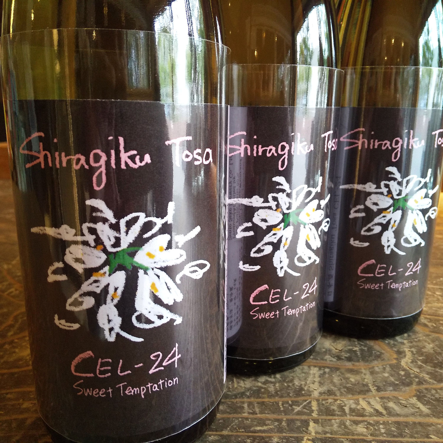 仙頭酒造さんからも出ました～人気のCEL-24