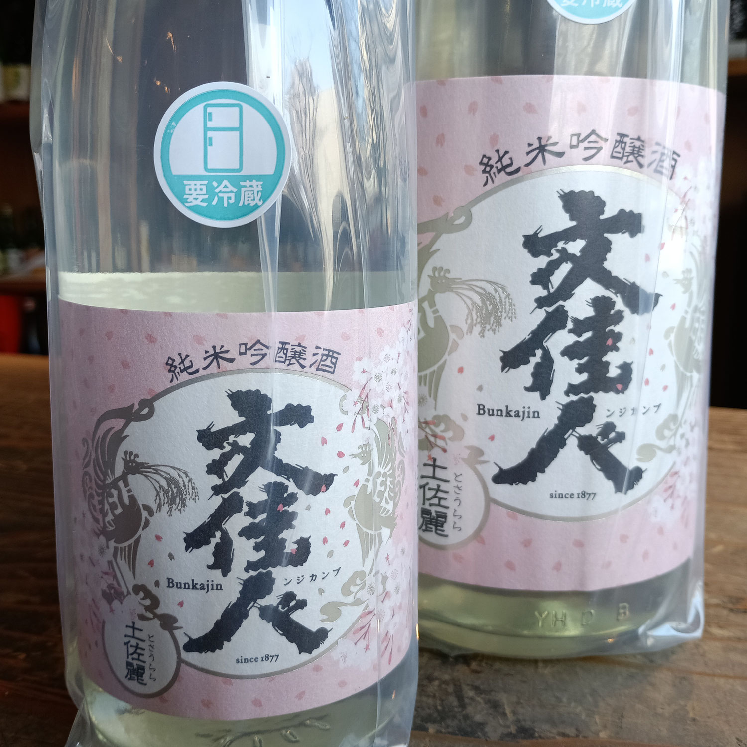 人気の文佳人、春酒が入荷しました～