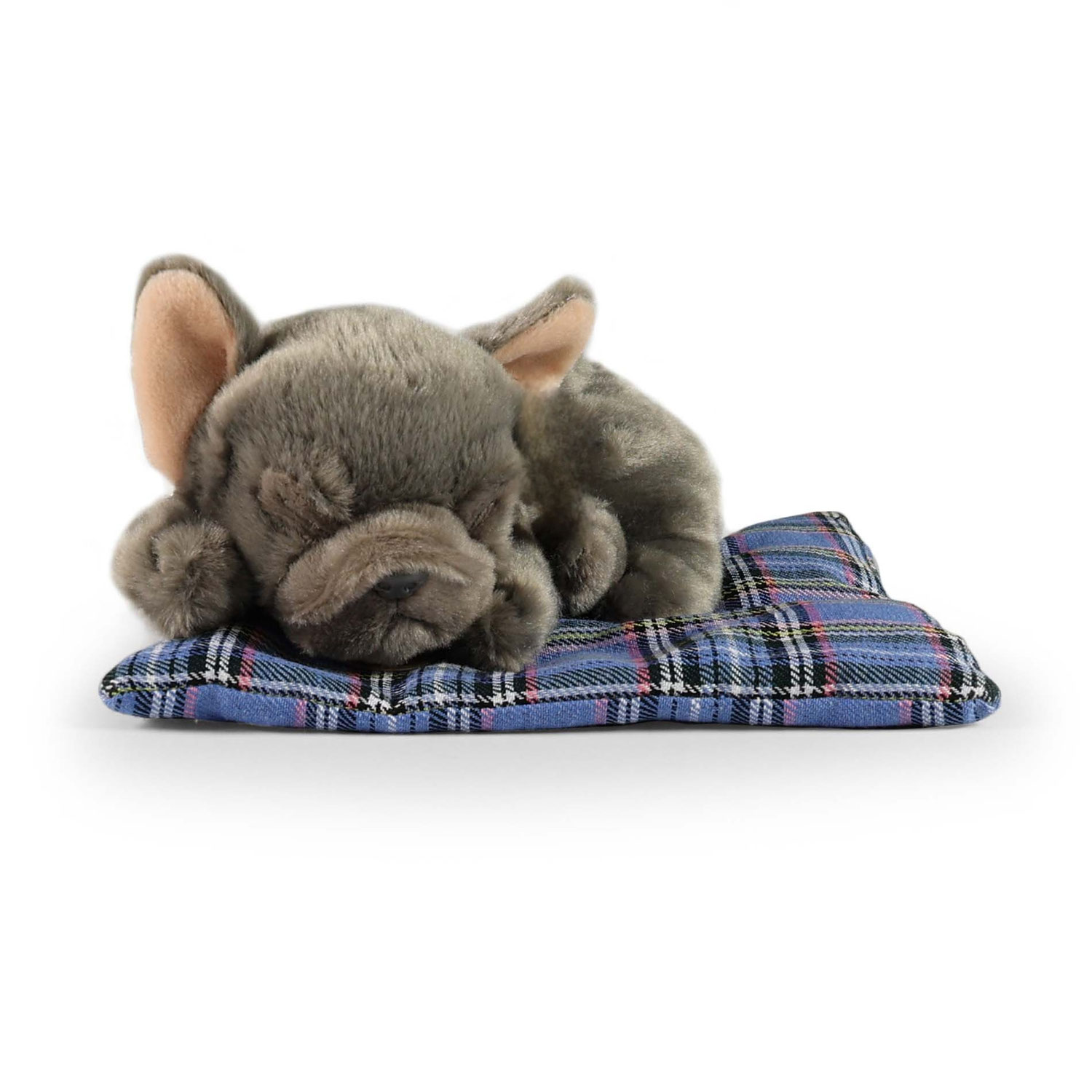 2026! Trendset Messe München vom 04. - 06.01.2026