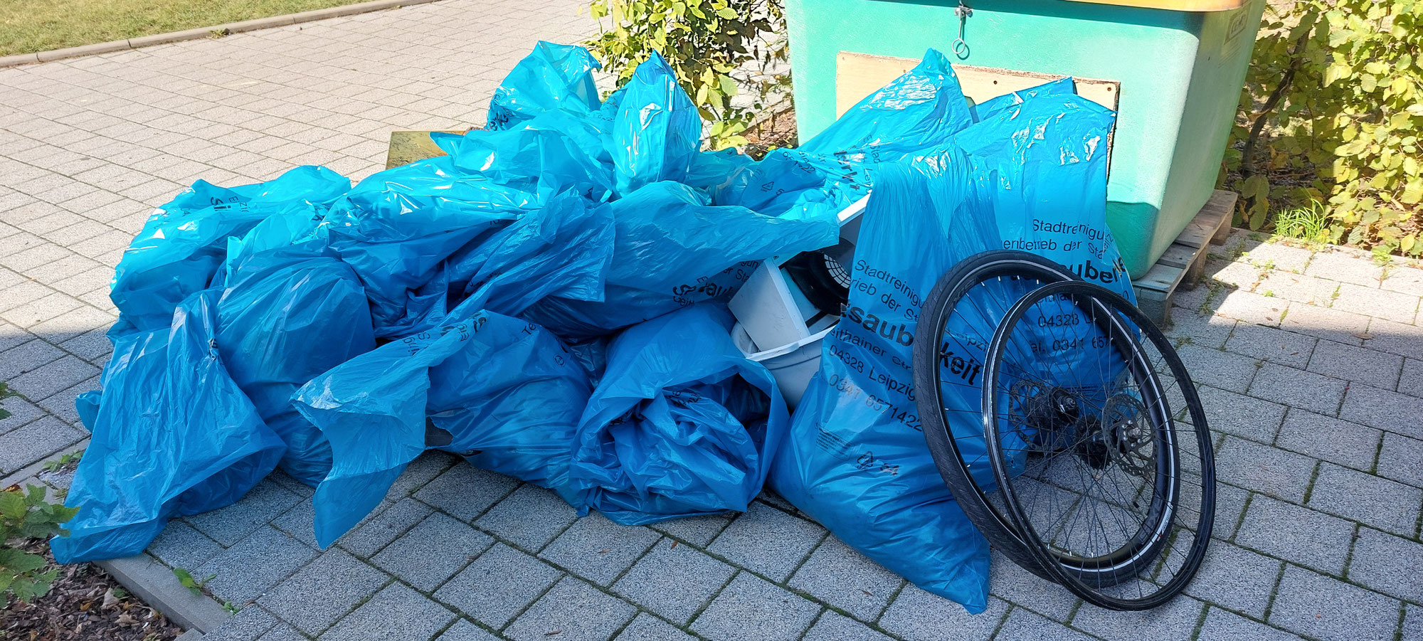 World Clean Up Day