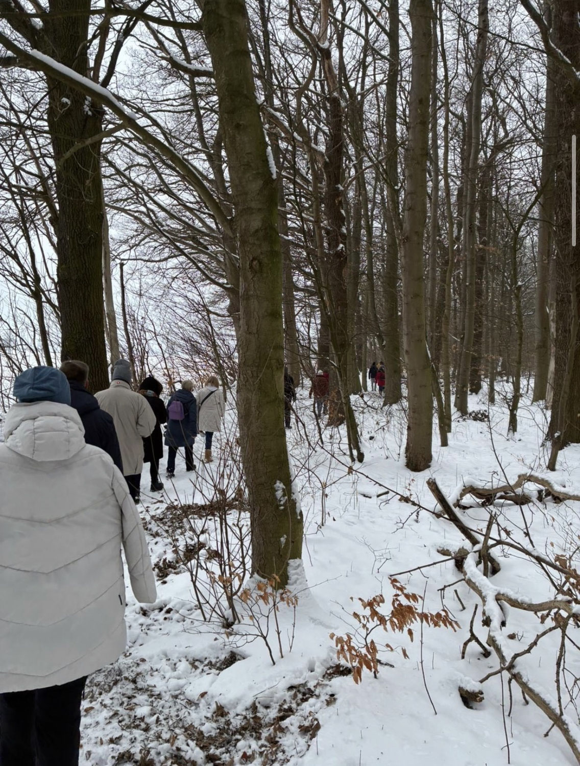 Traditionelle Braunkohlwanderung