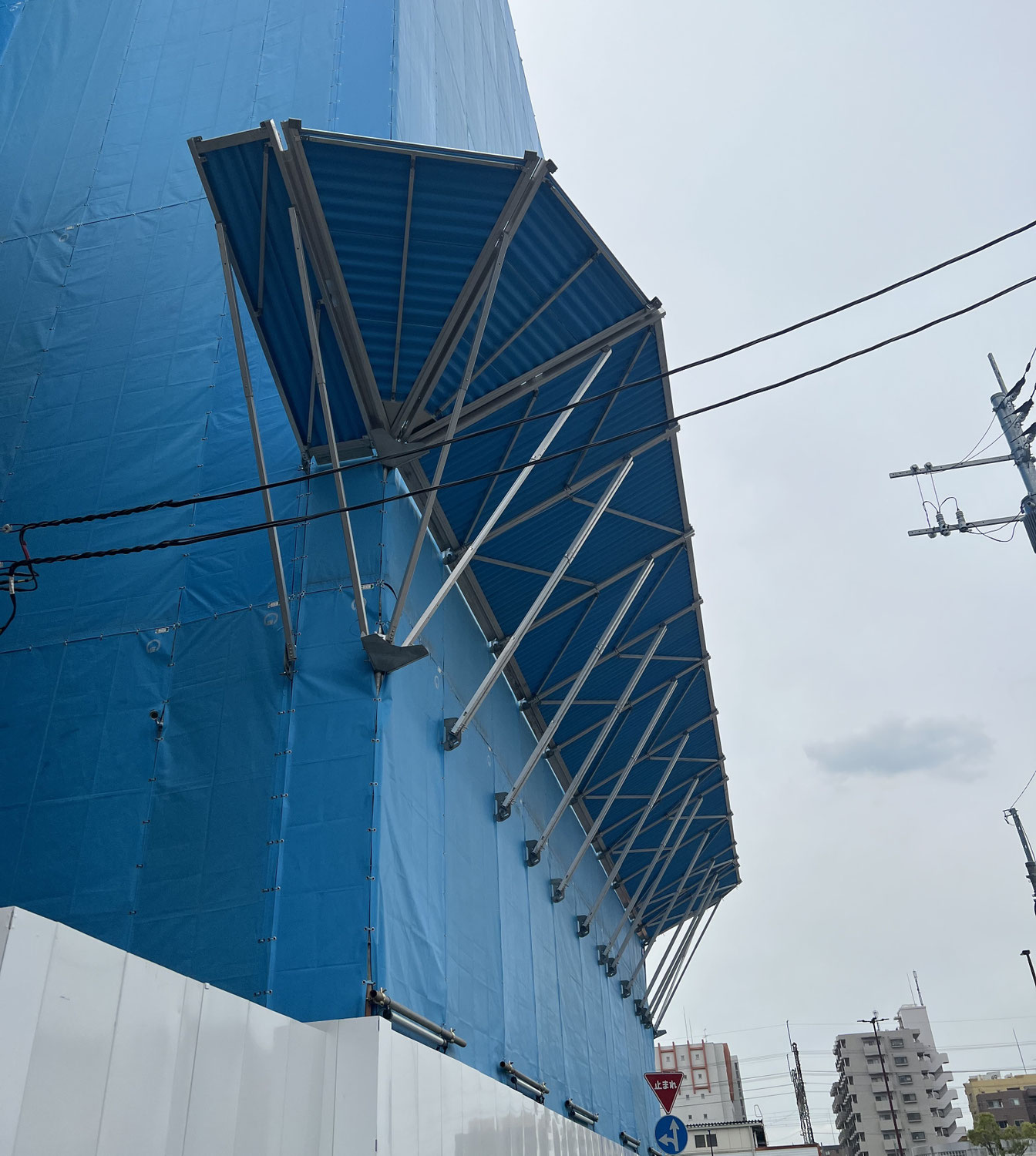 防護だな（朝顔）