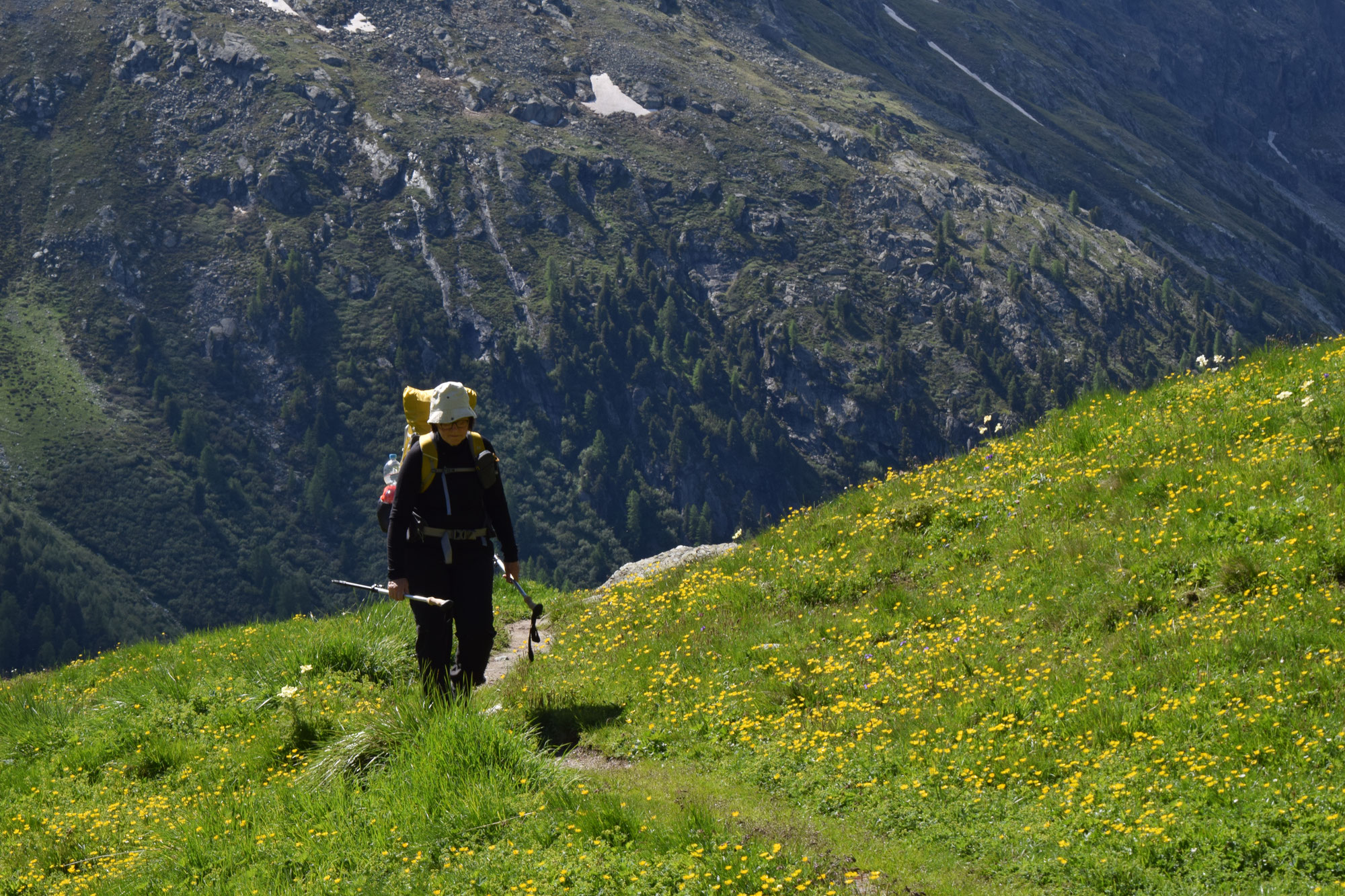 Probewandern in der Schweiz
