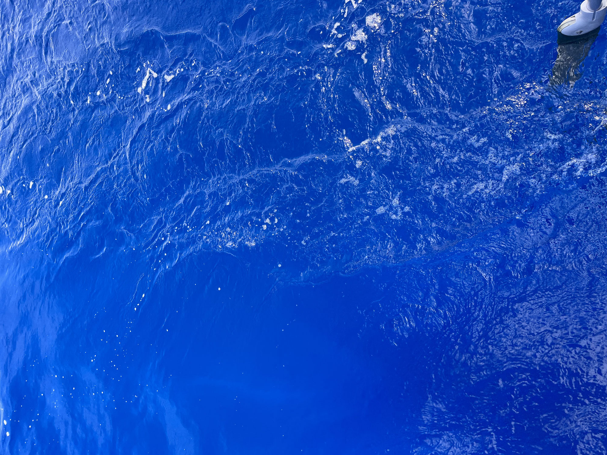 Blauwassersegeln