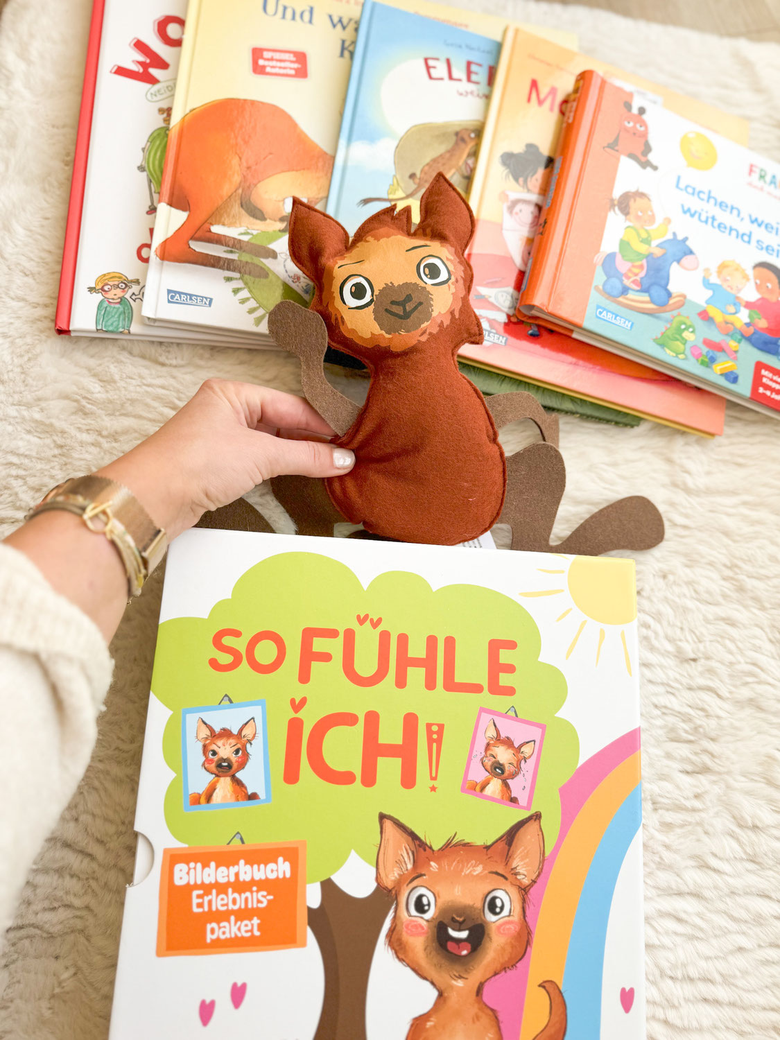 Carlsen Bücher Paket- so fühle ich!