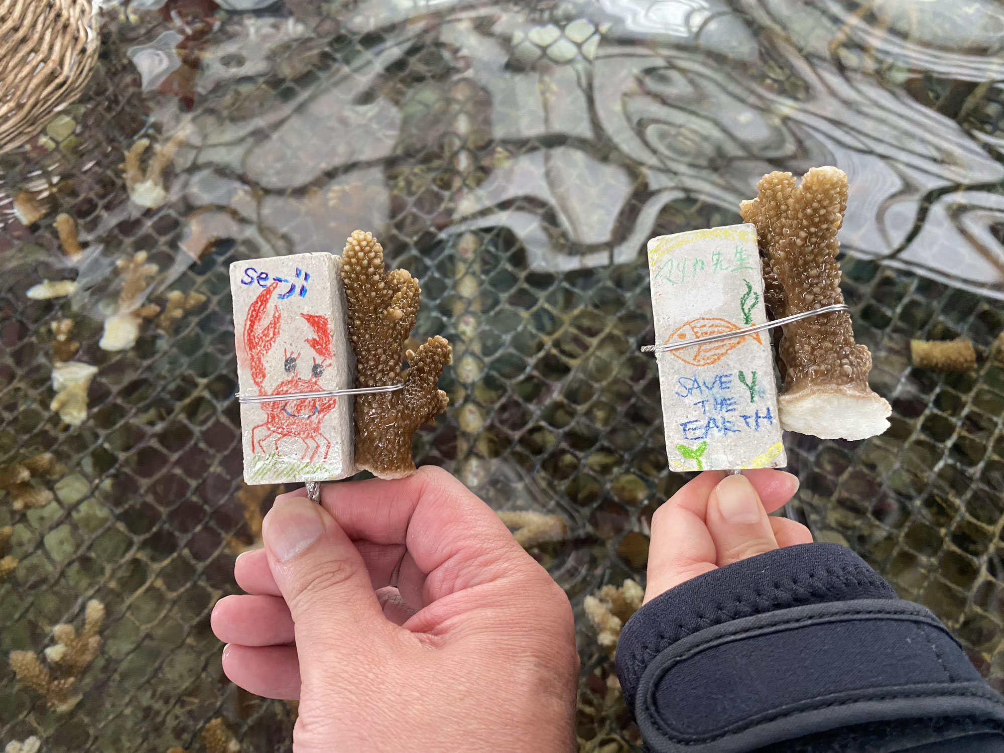 ✨沖縄県恩納村で“学びと感動”のサンゴ体験✨