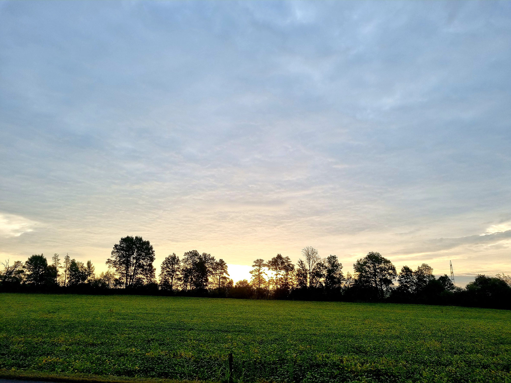 Ö Tour 59 Morgenlauf in der Steiermark