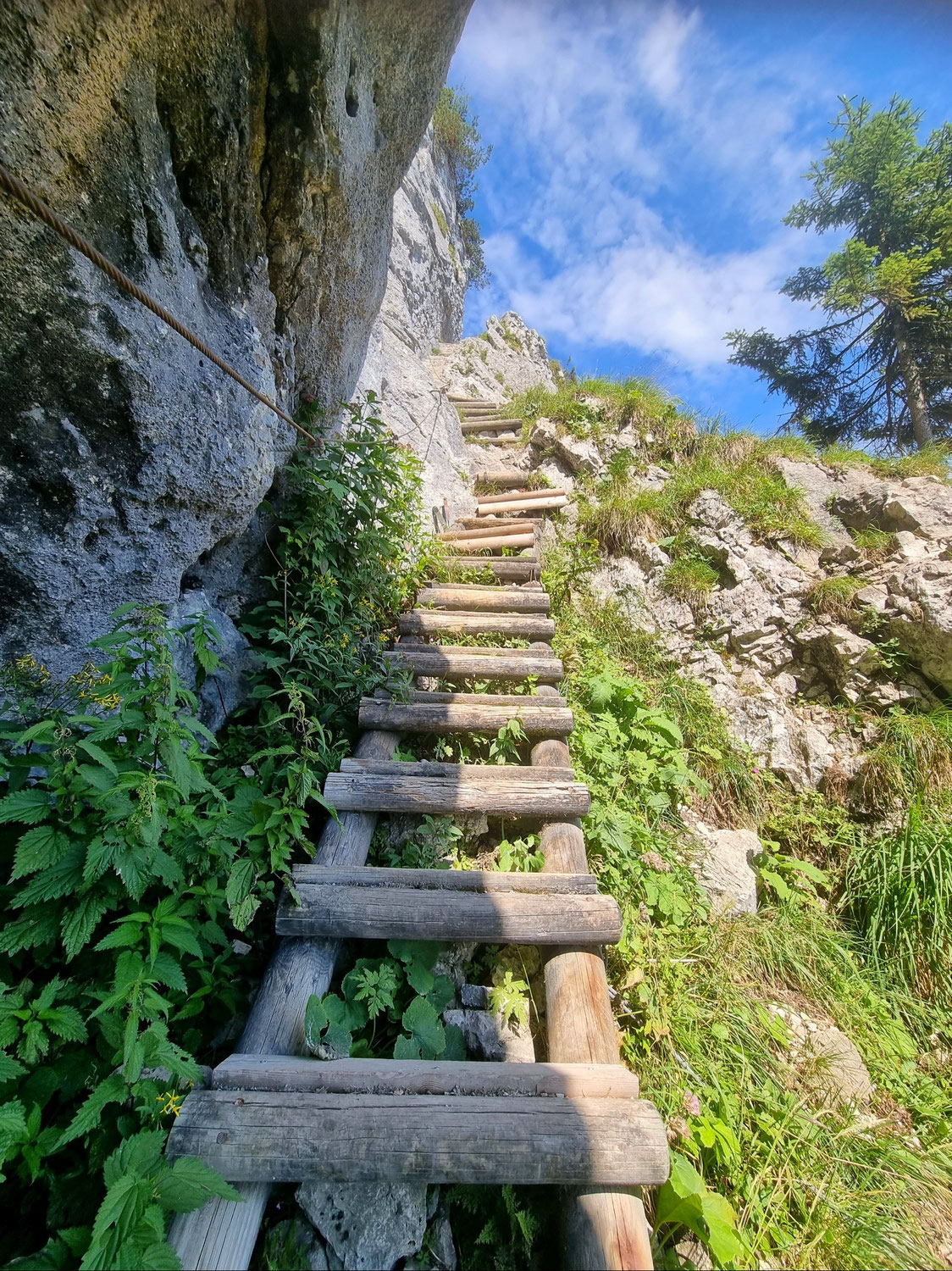 Ö Tour 103 Auf den Untersberg bei Grödig