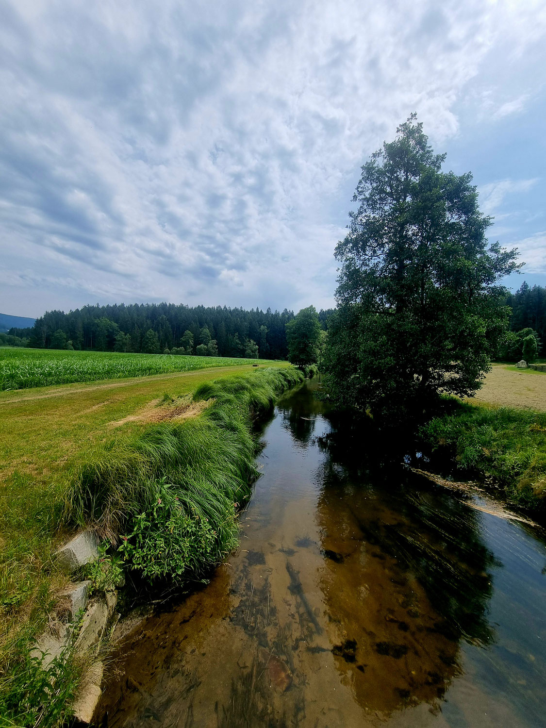 Ö Tour 267 & 268 Unterwegs im Mühlviertel