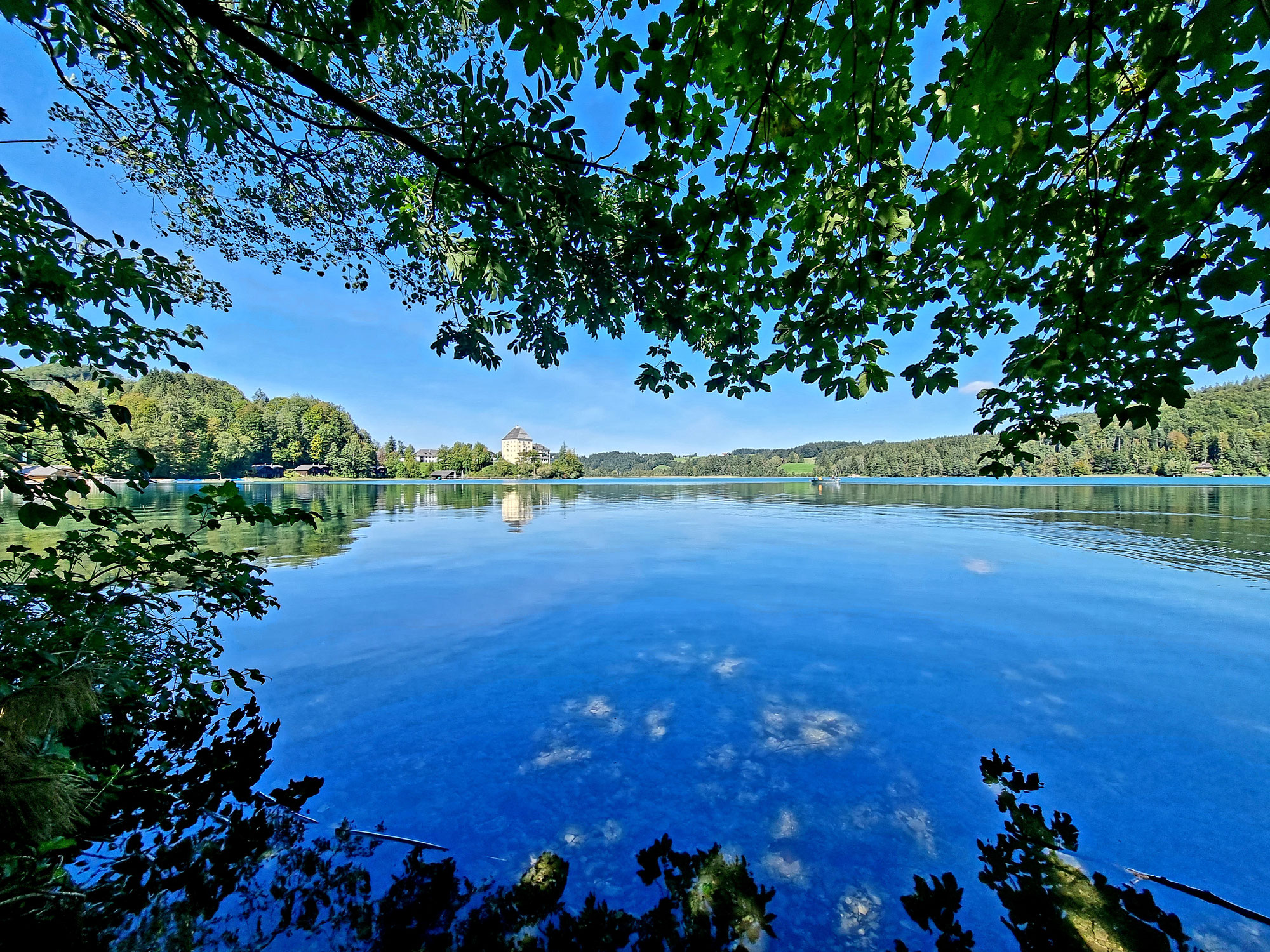 Ö Tour 62 Bike & Run Fuschlsee