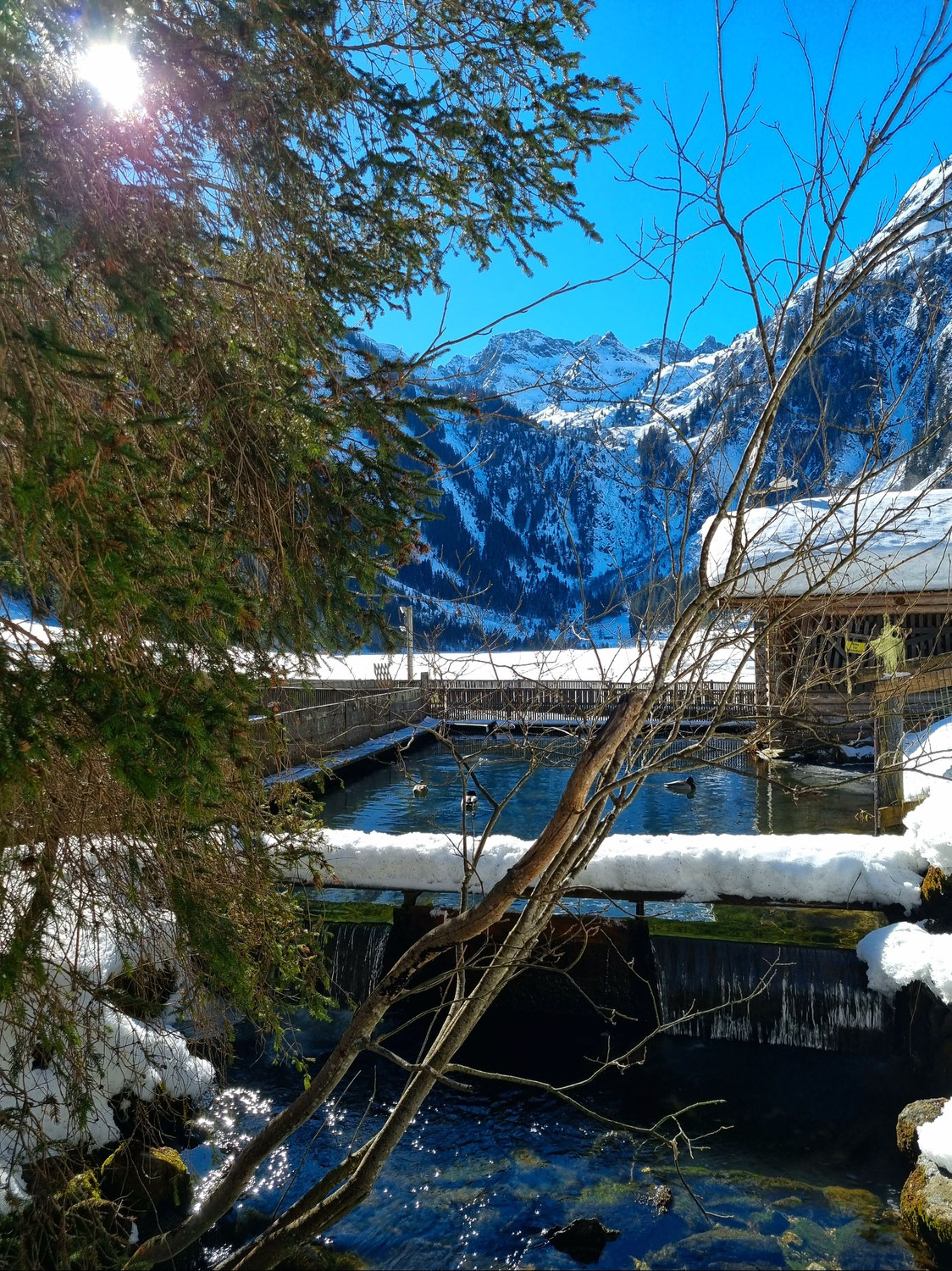 Ö Tour 76 Steirischer Bodensee