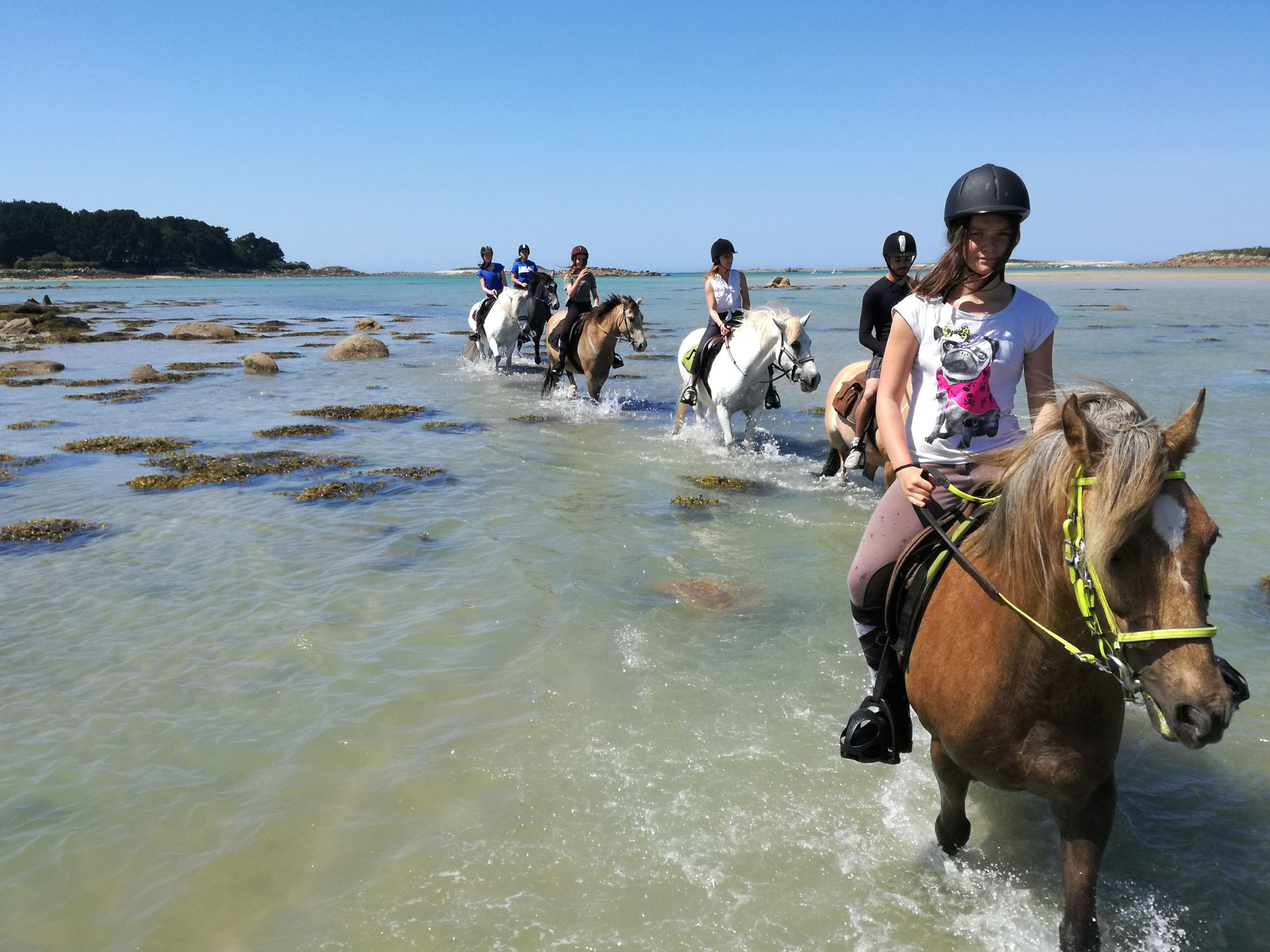 Balades Et Tarifs 2019 Site De Equinature Bretagne