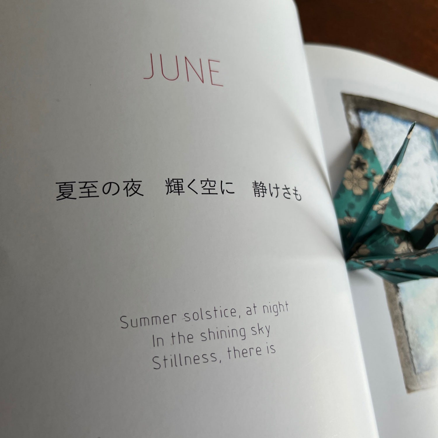Light, Moss, Kyoto garden - interplay of Light & Shadow...… my story & haiku for June