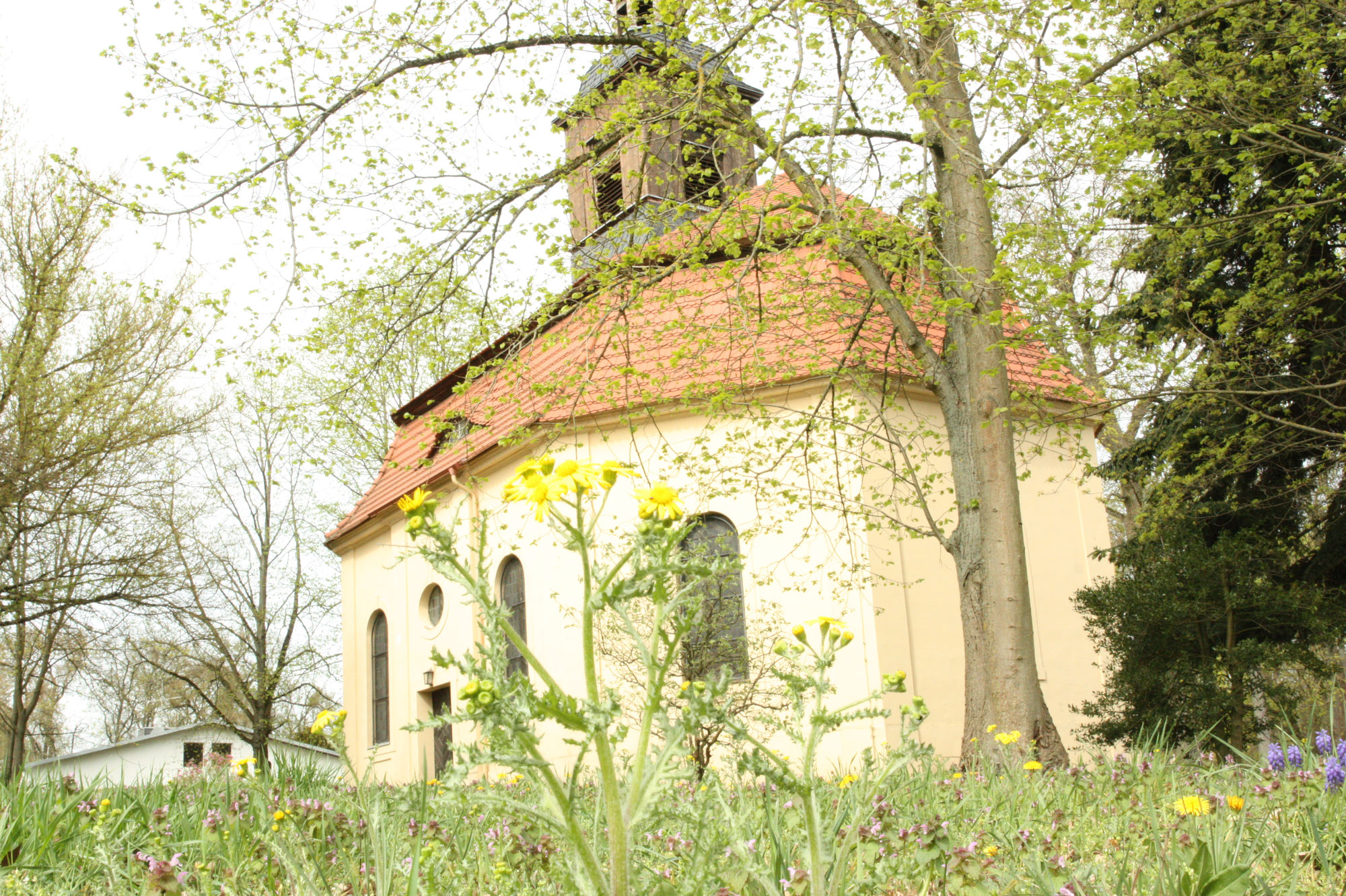 Historische Schlosskapelle aus Dornröschenschlaf erweckt: Konzertreihe in Großwudicke