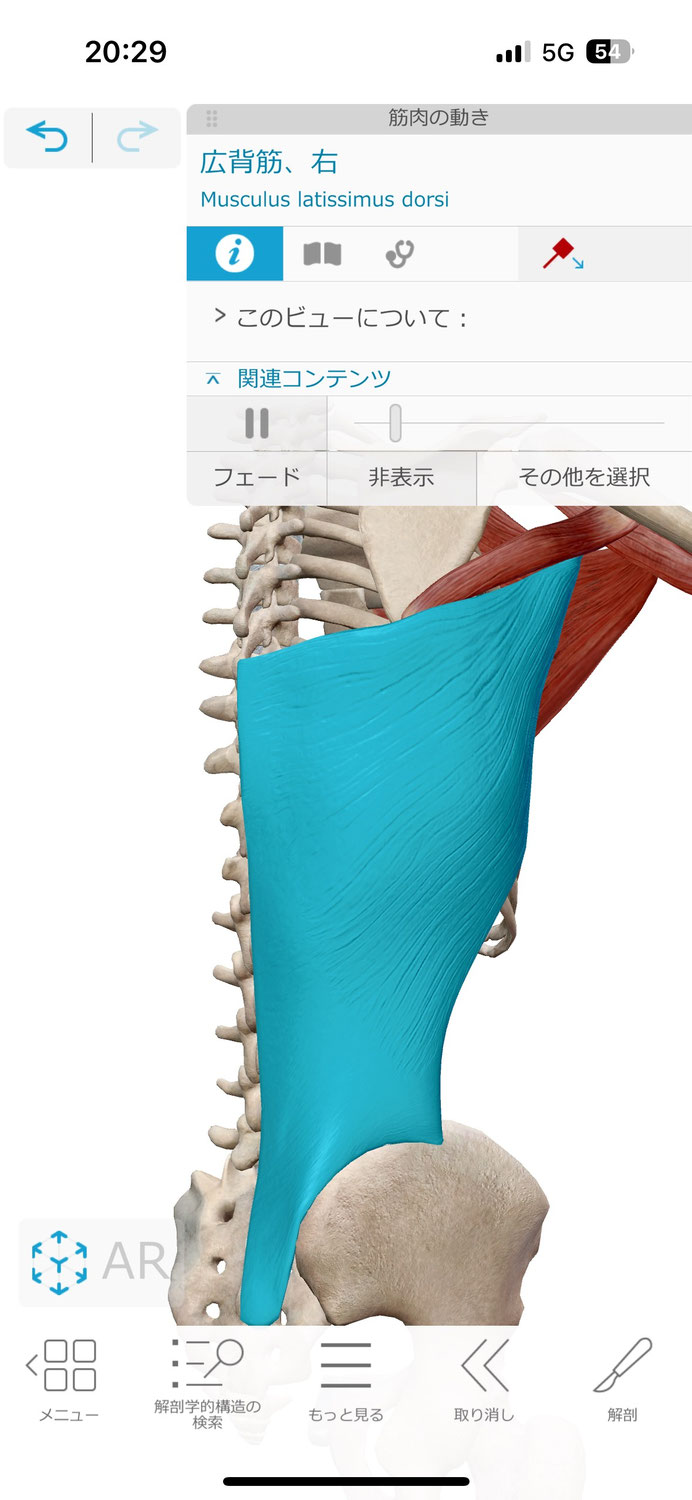 肩こりの原因は「背骨」にあった！あなたのS字カーブは大丈夫？