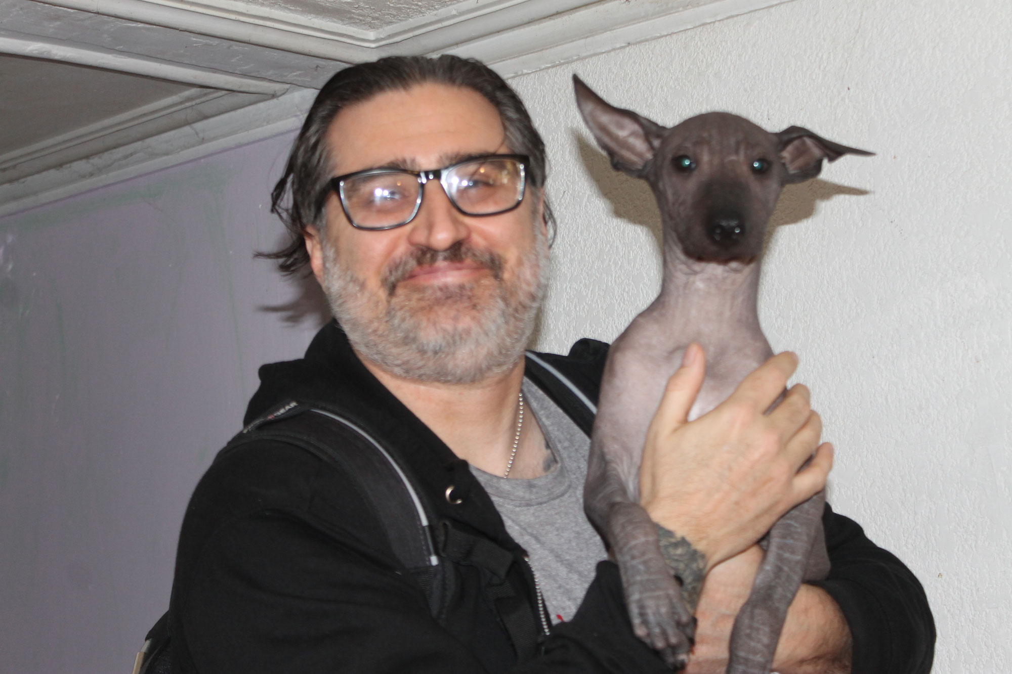 Exploring the World with Your Xoloitzcuintle: A Guide to Traveling with Your Mexican Hairless Dog | Xolos Ramirez