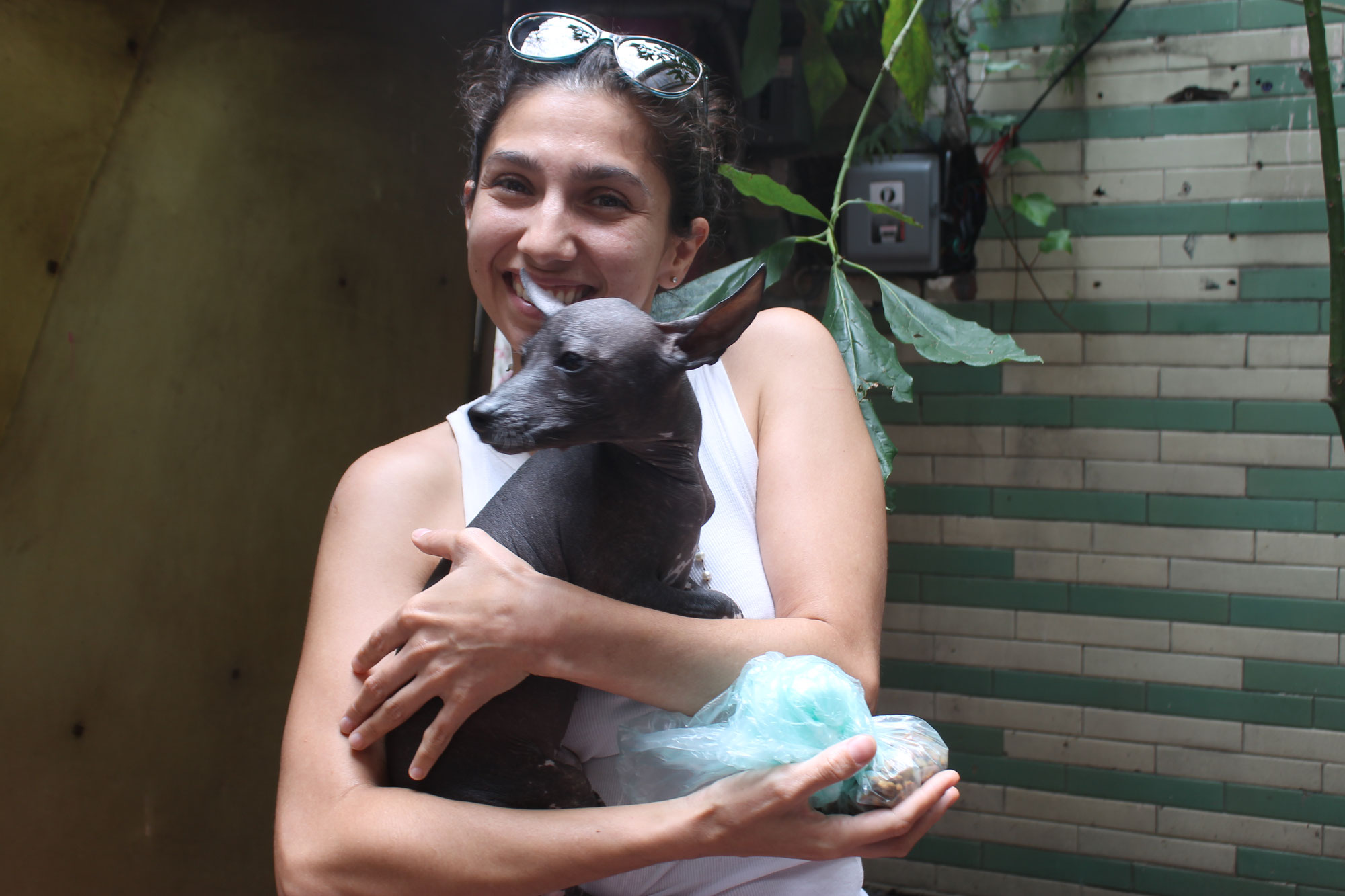 Un Vínculo Tejido por el Amor Canino: La Emotiva Entrega de Agapi a María Cecilia en Criadero Xolos Ramírez