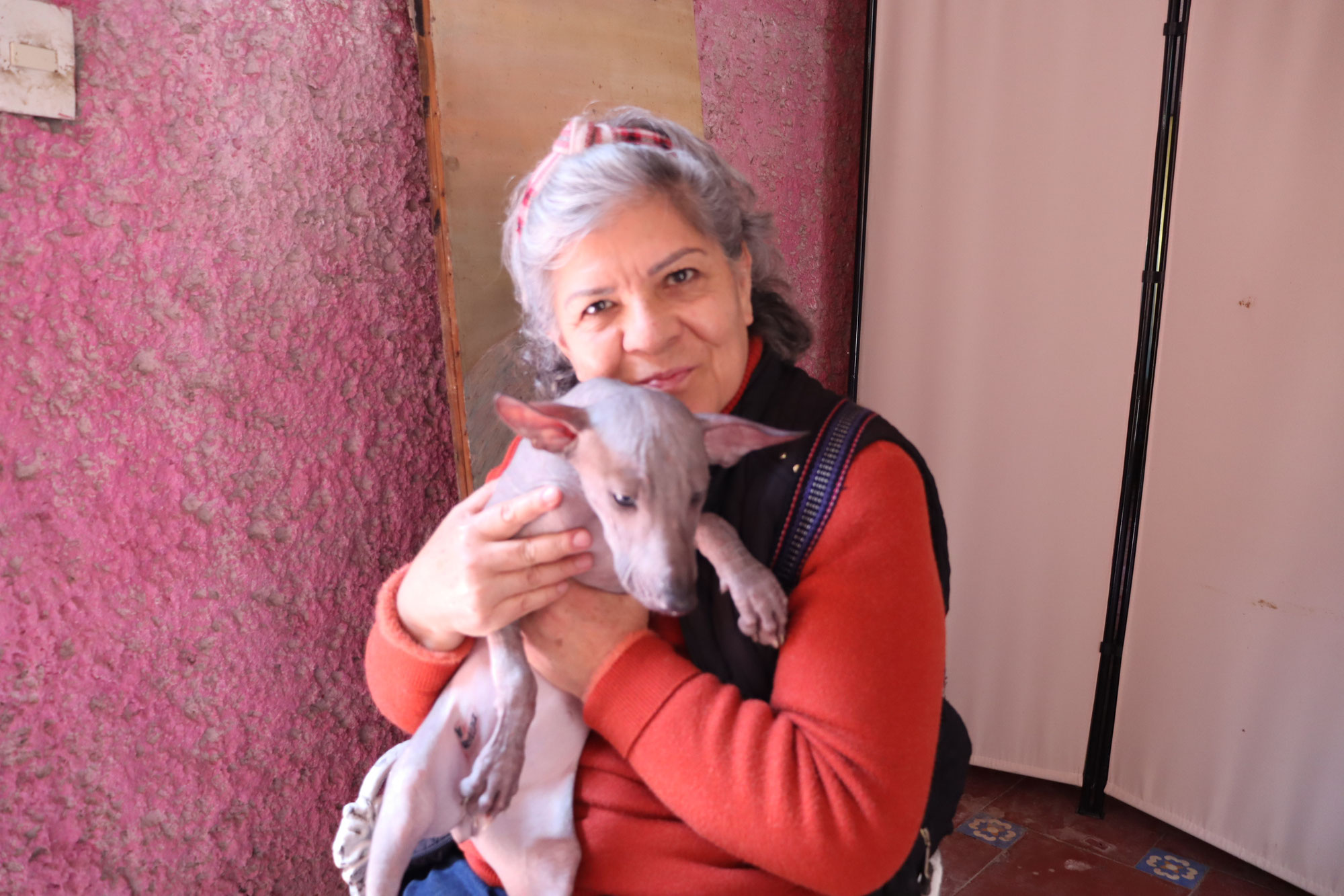 Entrega de Yali Ramírez: un xoloitzcuintle que viaja del corazón de México a los Estados Unidos