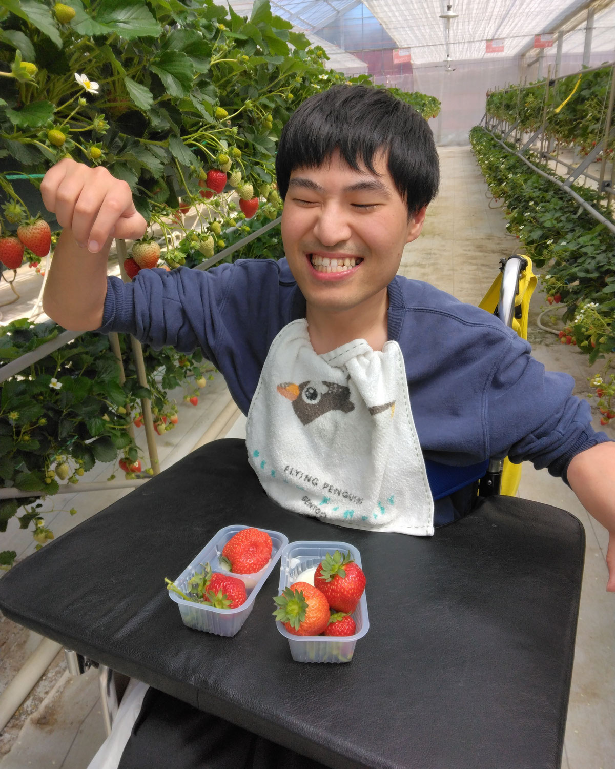 イチゴ狩り①