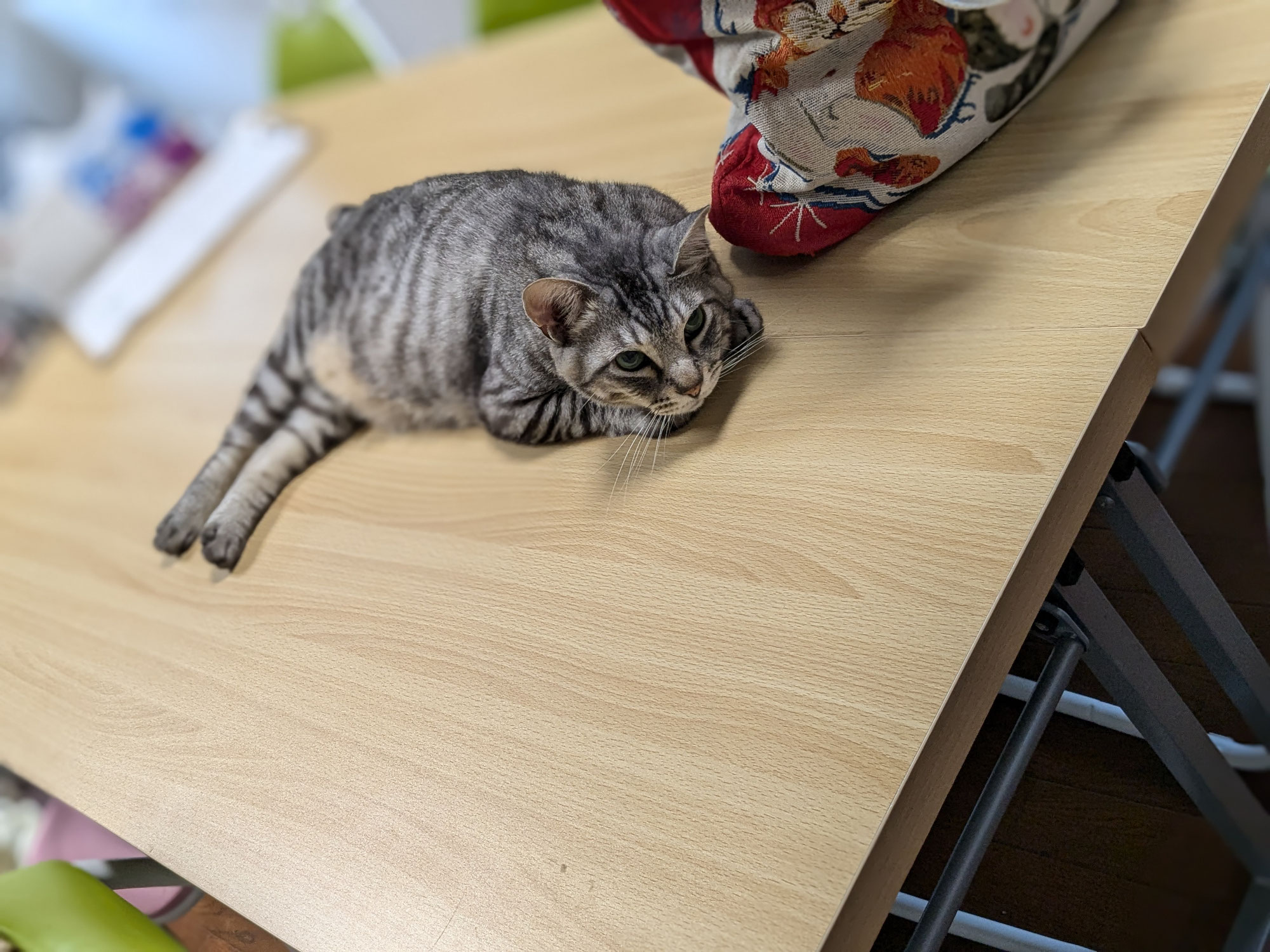 たまのおふざけ☆