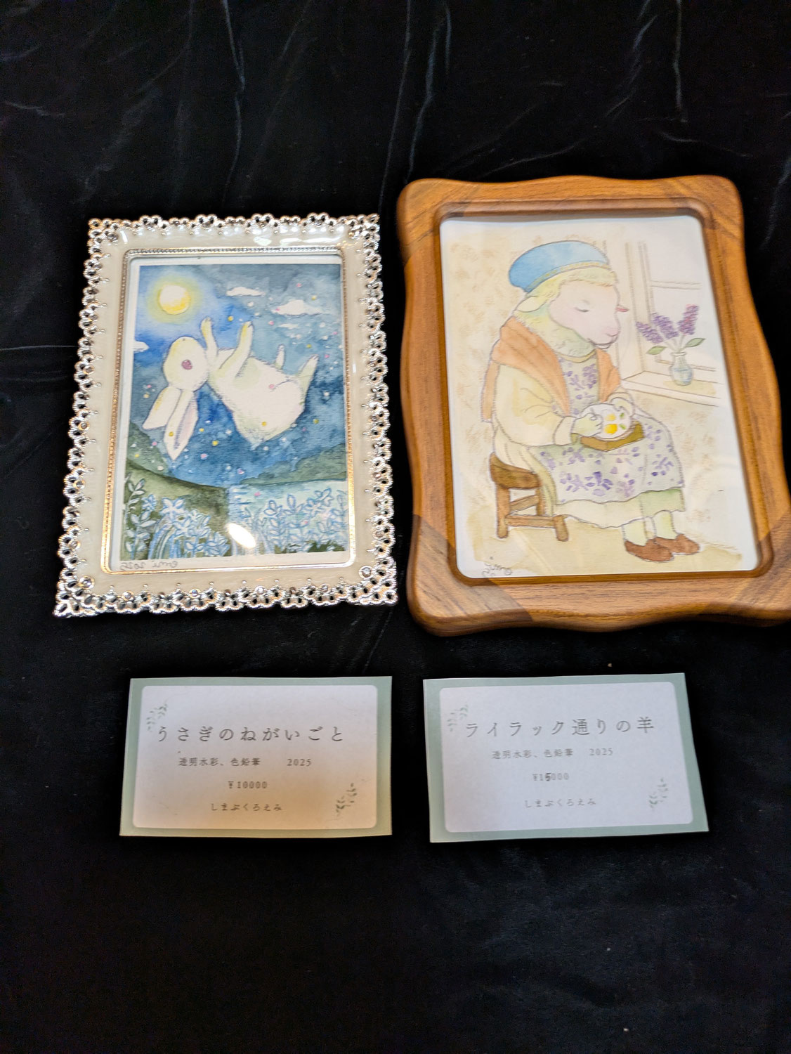 （A-SHIM-07)幻のもやいの市しまぶくろえみ