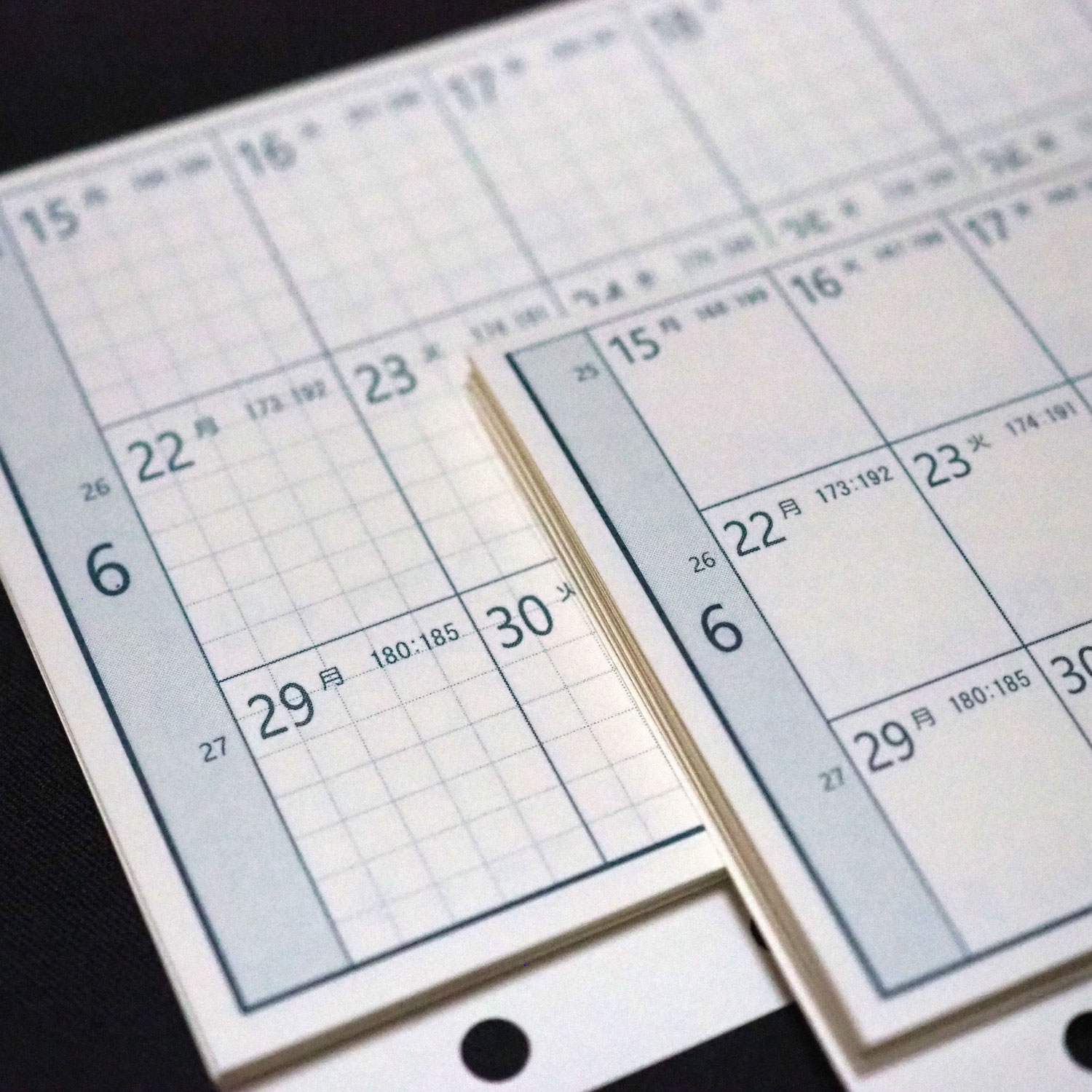 じゃばらんだ2026発売