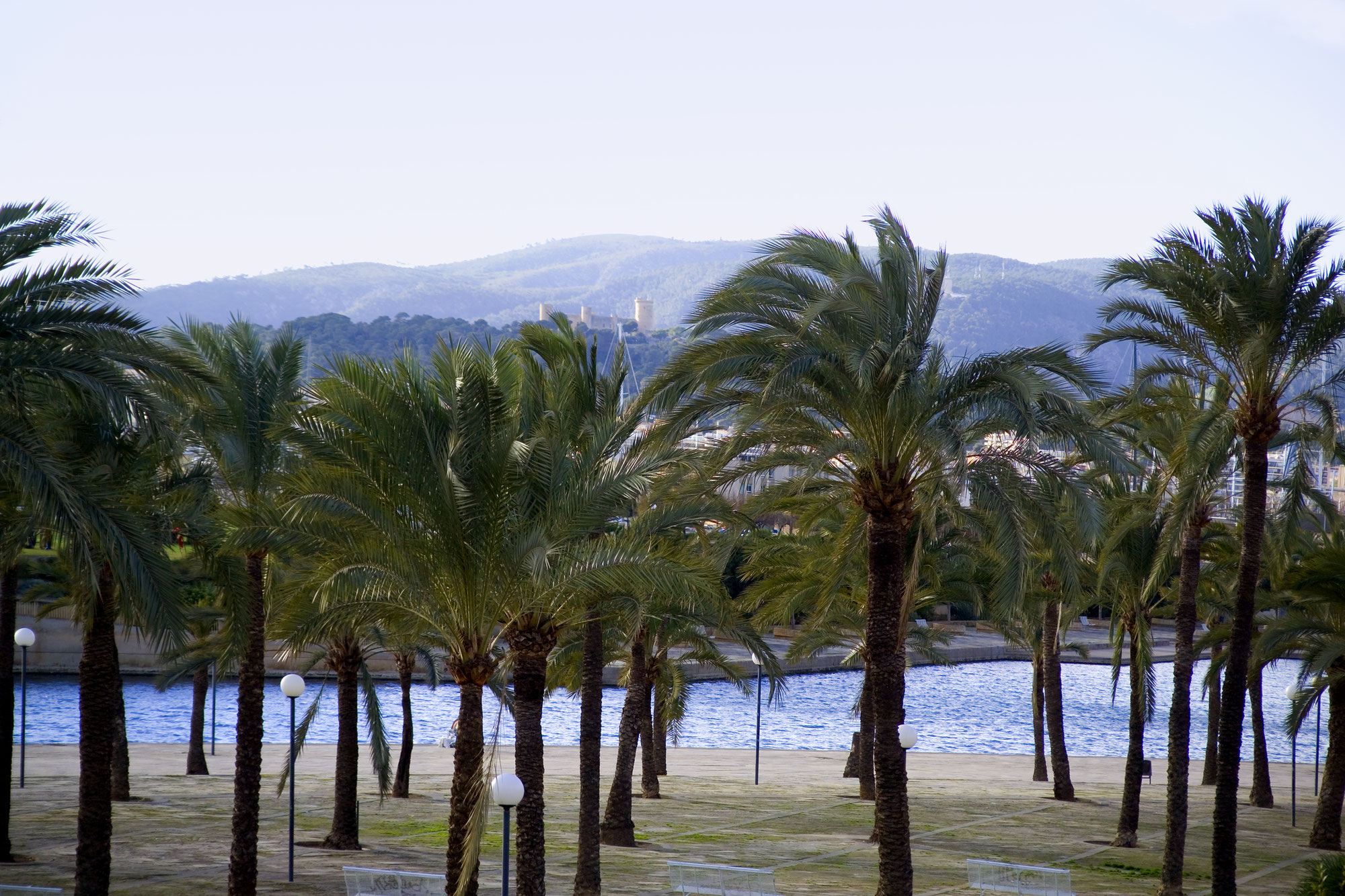 5 razones para visitar Palma