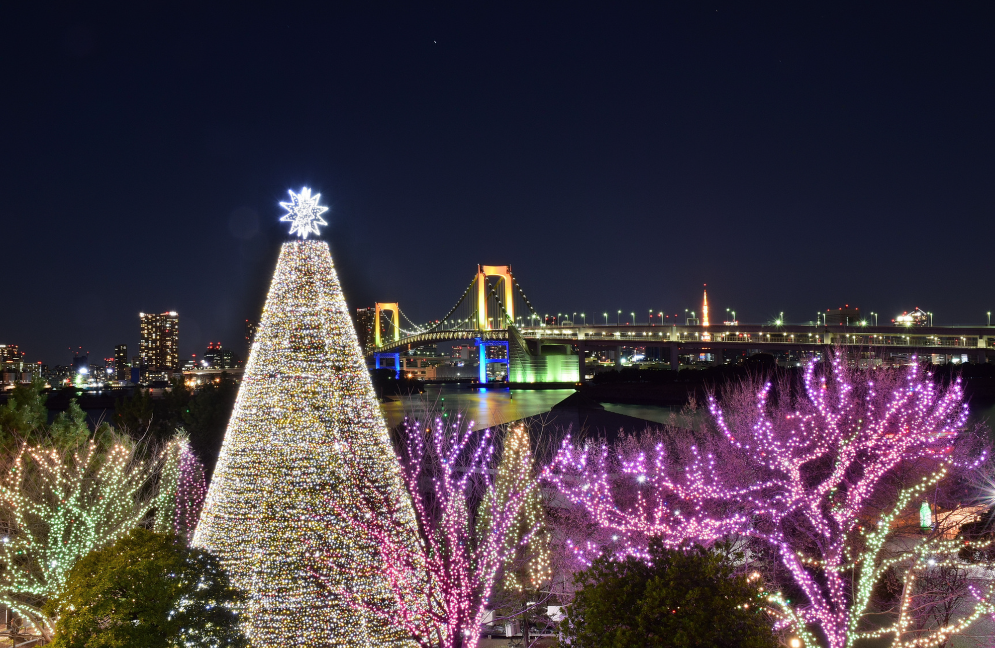 Must-Visit Winter Illumination Spots in Tokyo 2024-2025: A Guide for International Visitors!