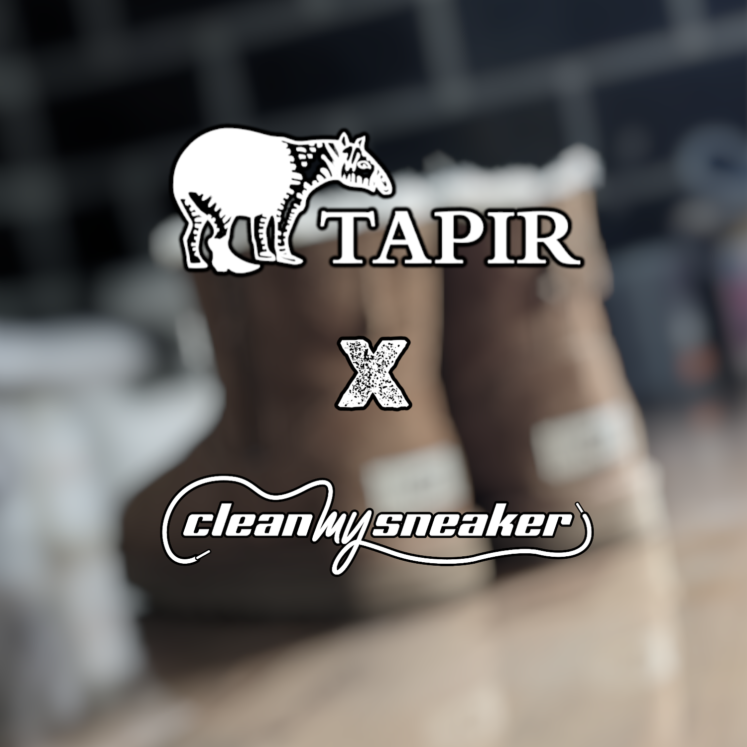 Tapir x cleanmysneaker