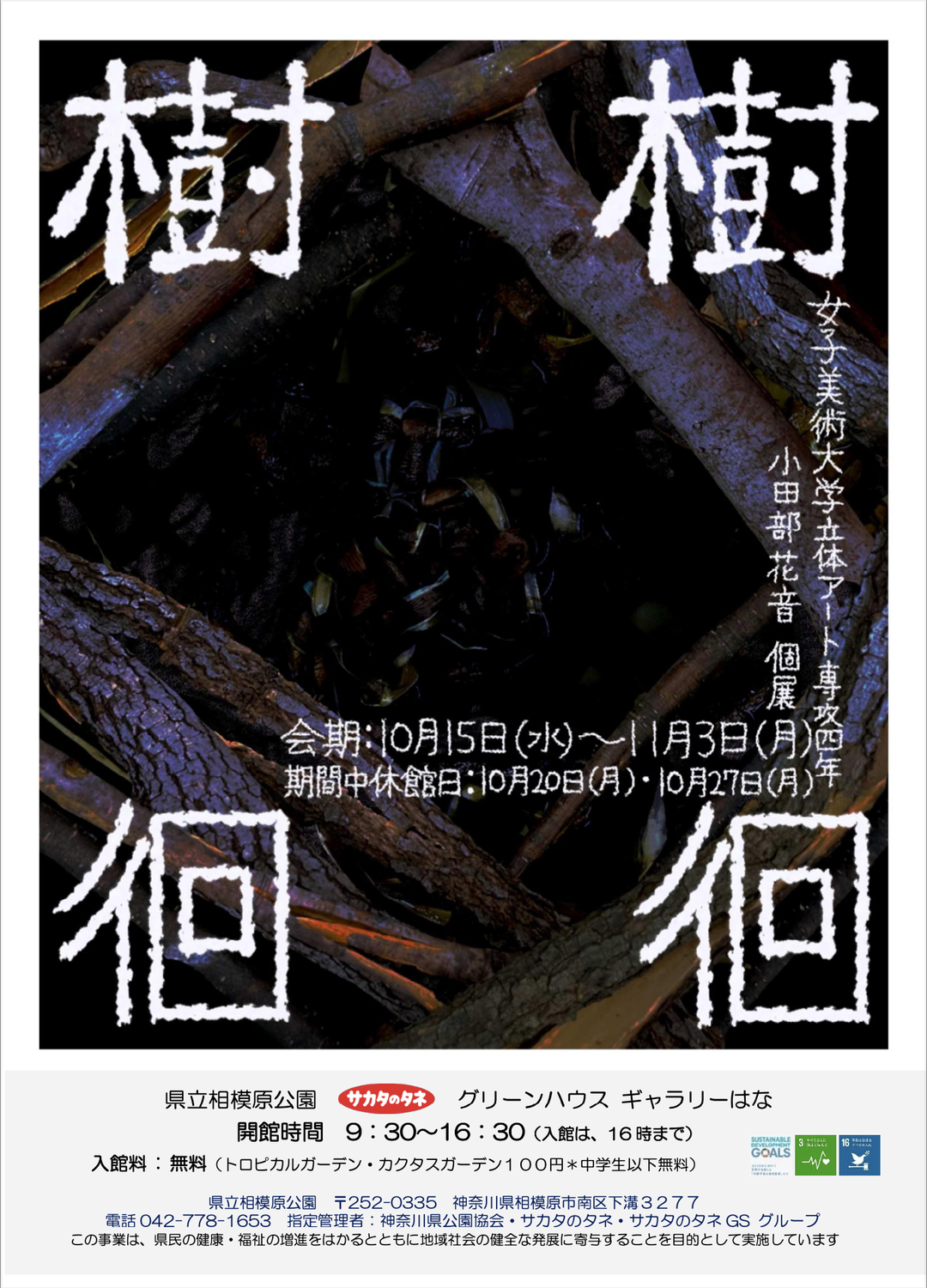 小田部花音　『樹樹徊徊』
