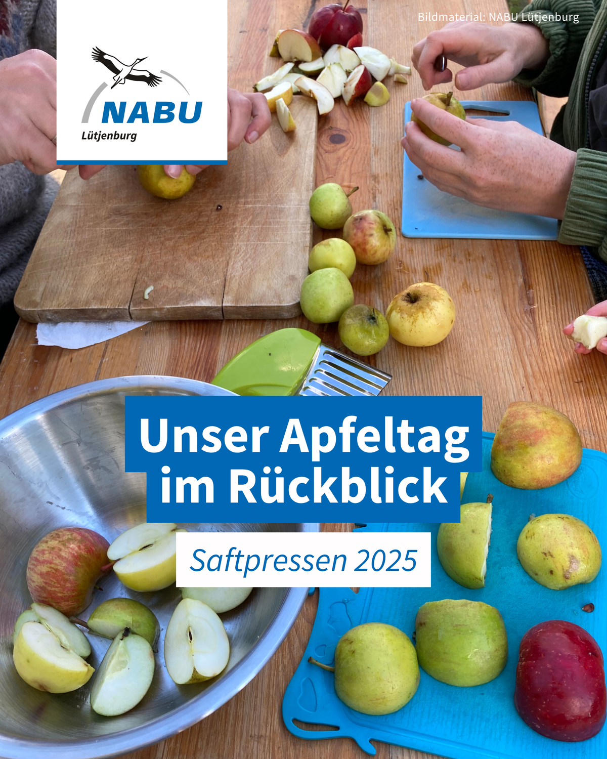 Unser Apfeltag im Rückblick