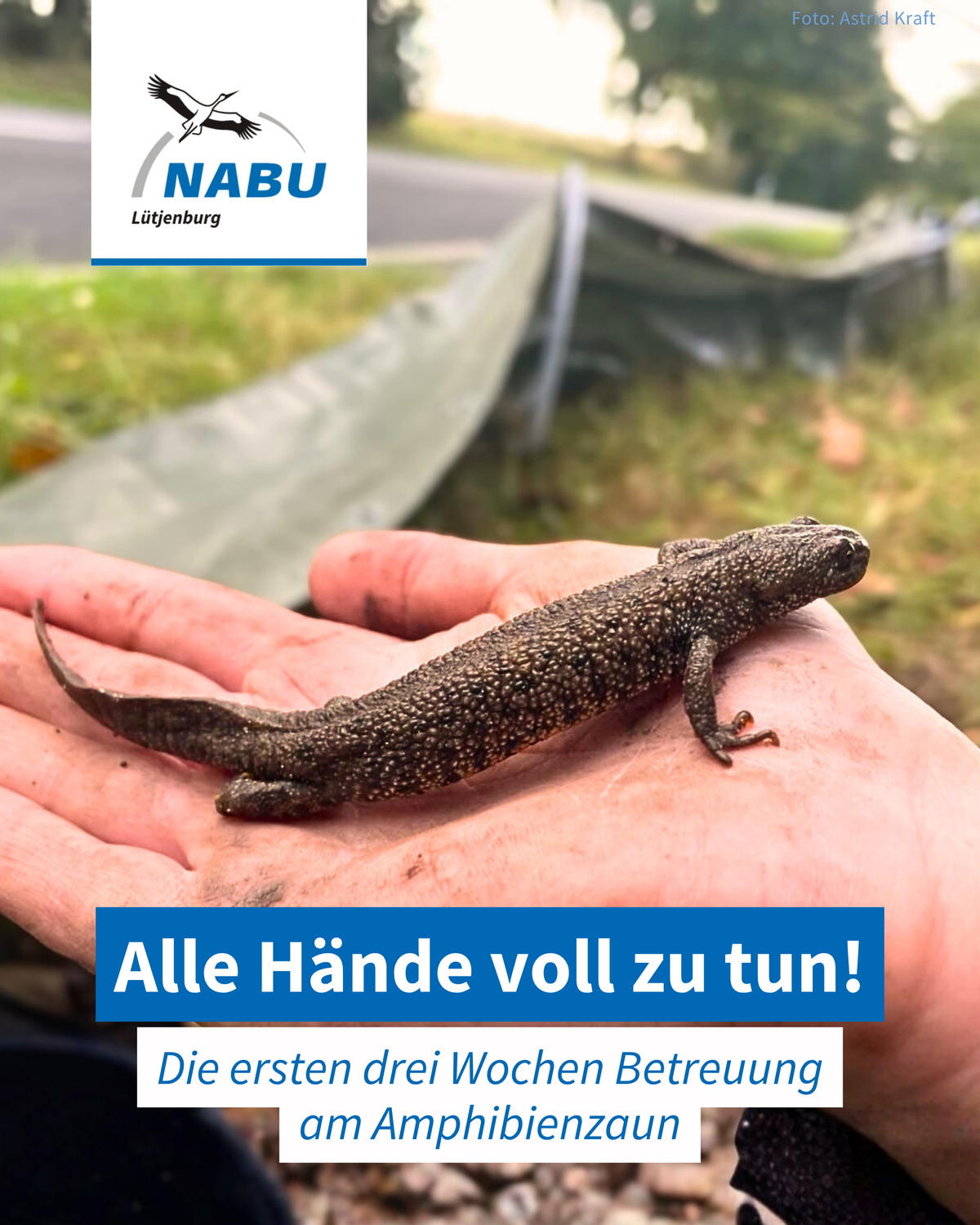Alle Hände voll zu tun