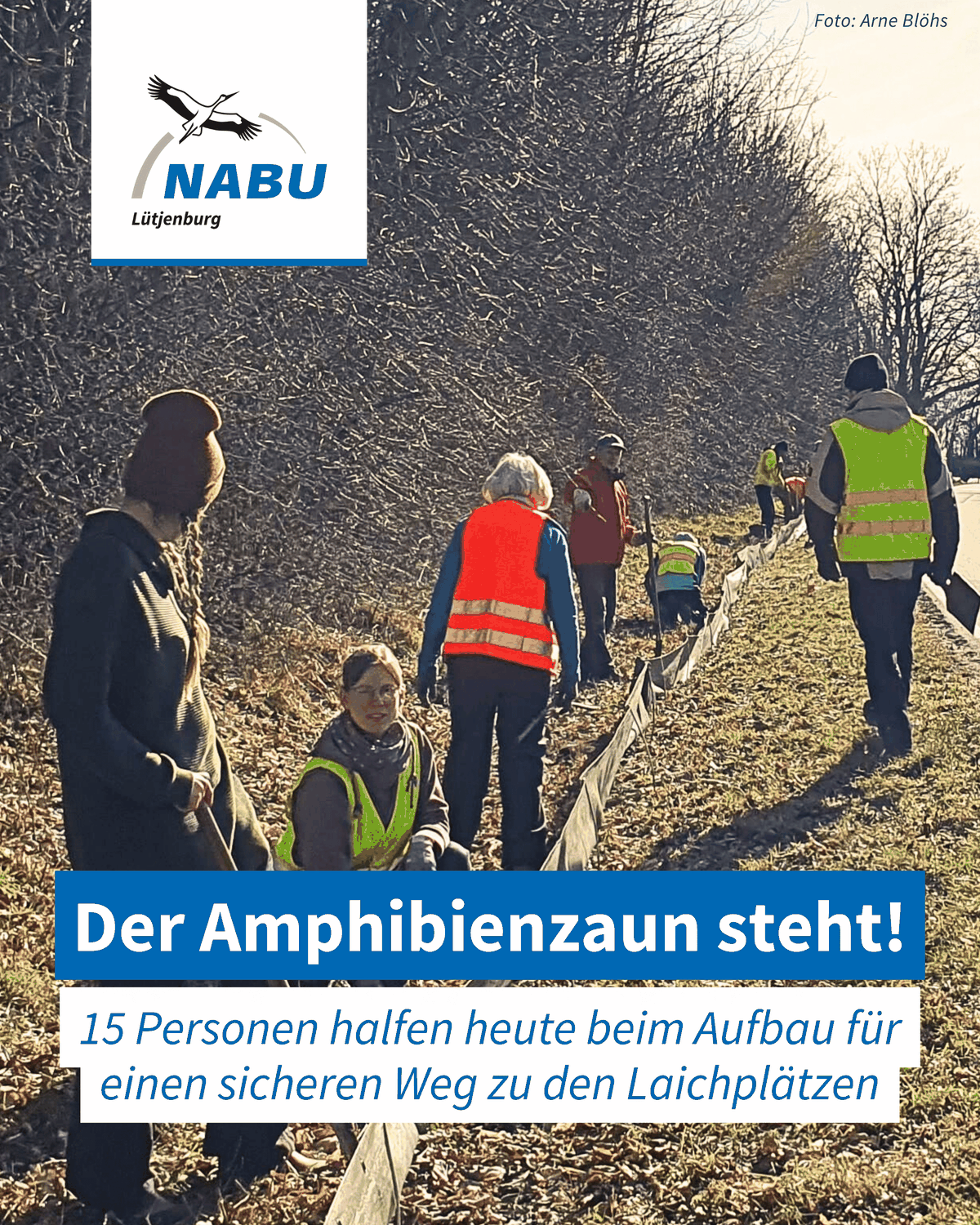 Der Amphibienzaun steht!
