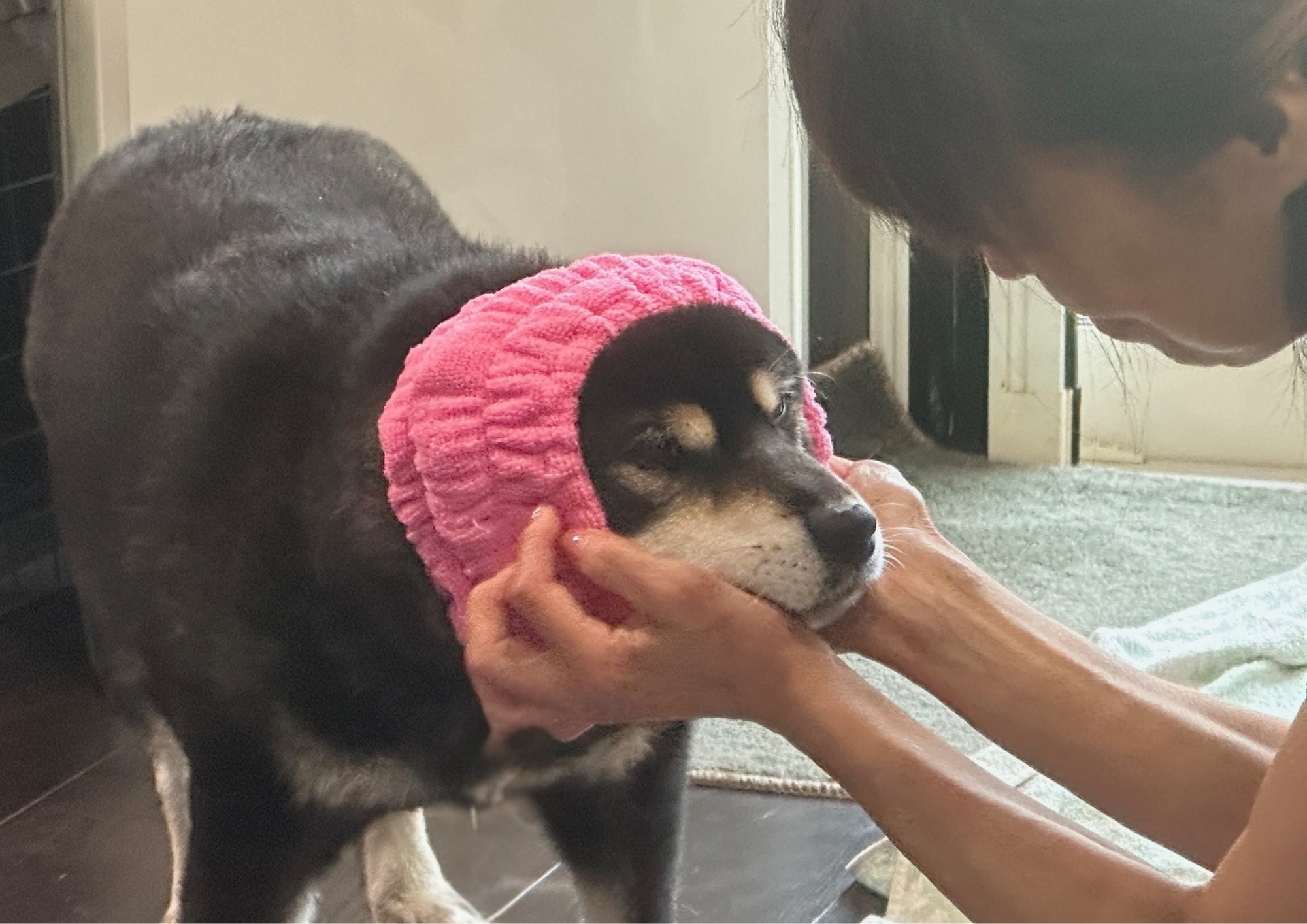 雷が怖くて・・・