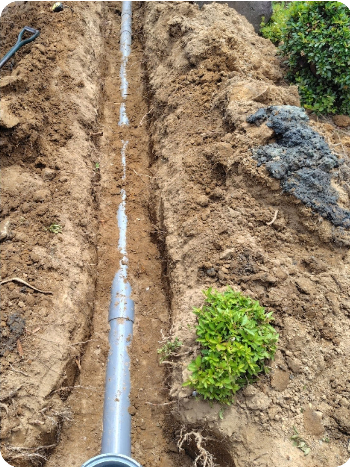 燕市で木の根が侵入した排水管を交換｜排水配管工事の施工事例