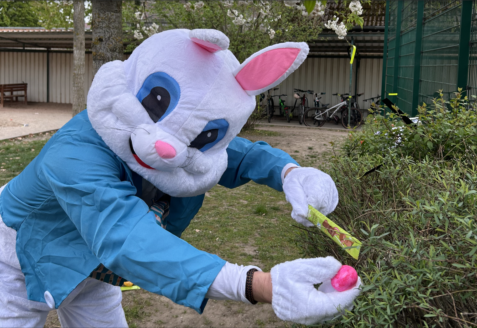 Achtung! Achtung! Osterhase gesichtet!