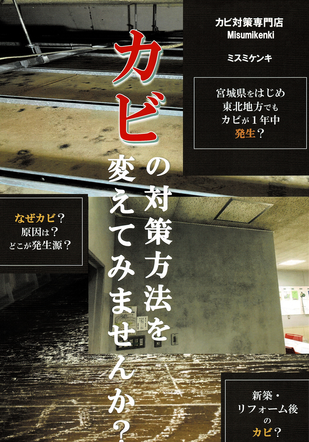 宮城県で繁殖するカビ取りと防止する方法