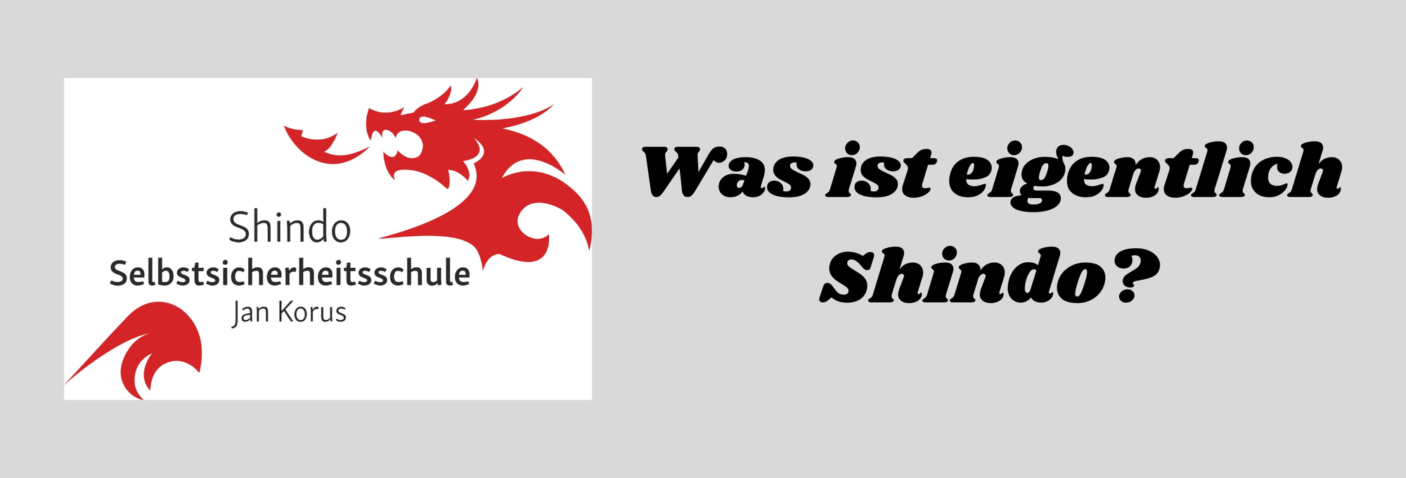 Das Shindo- System