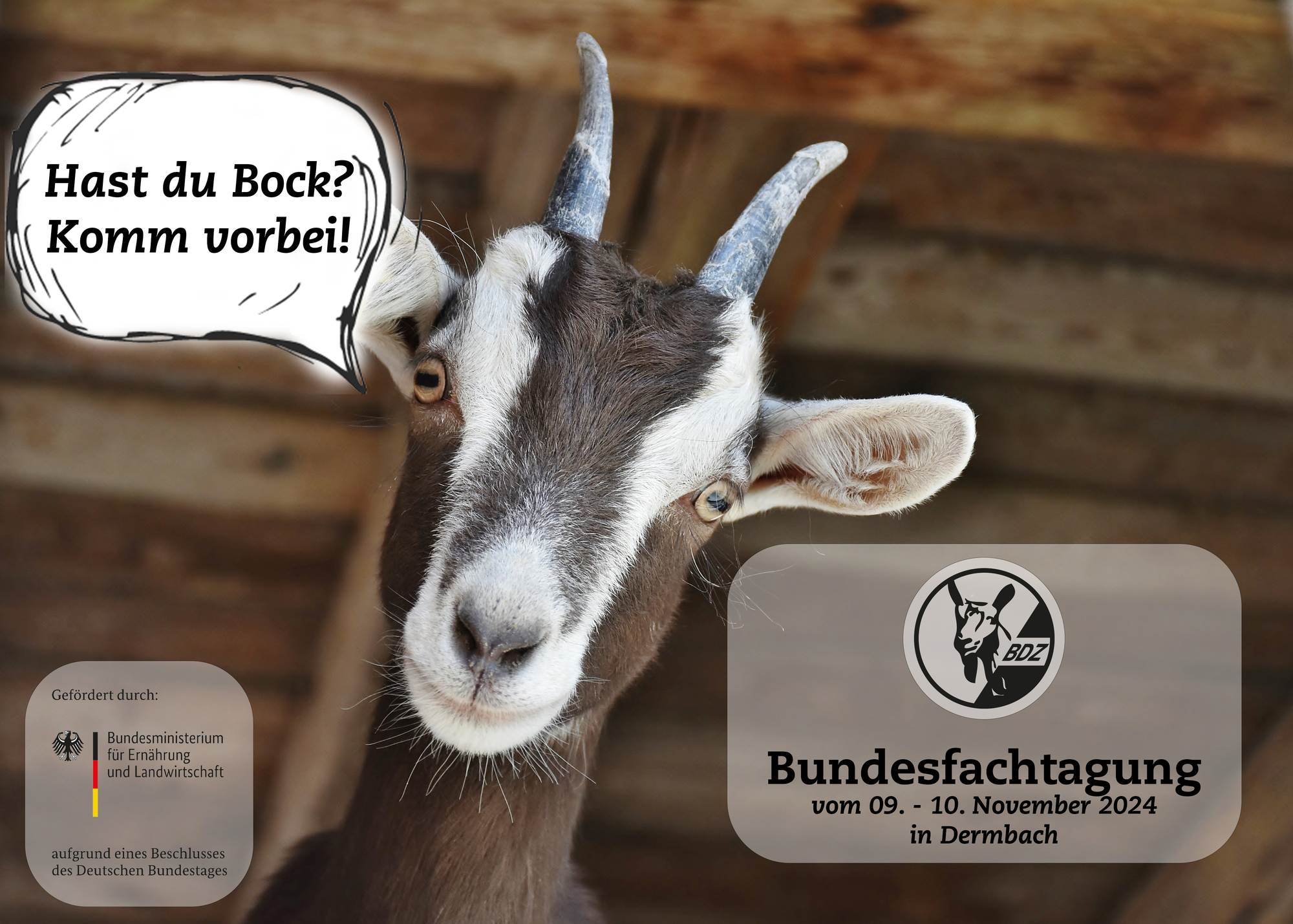 BDZ-Fachtagung 2024 in Dermbach